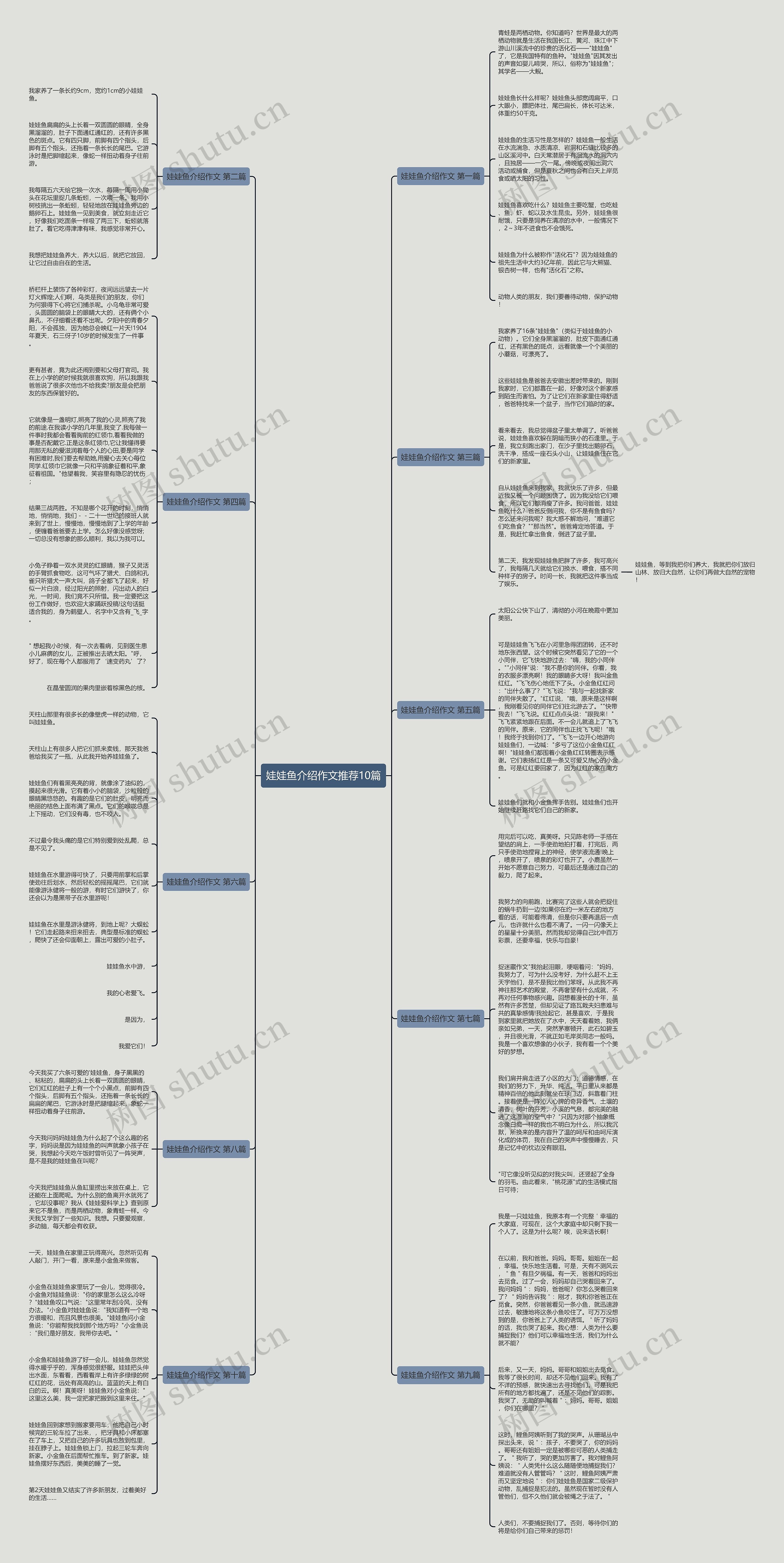 娃娃鱼介绍作文推荐10篇思维导图