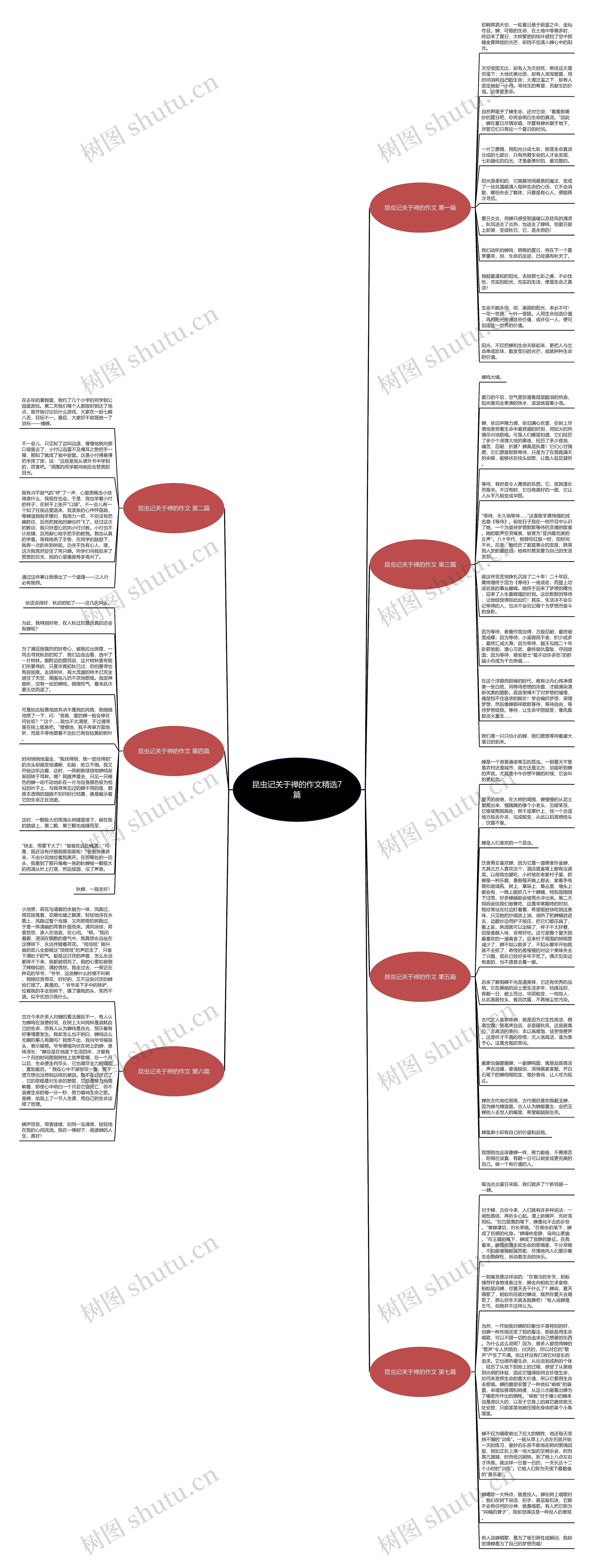 昆虫记关于禅的作文精选7篇思维导图