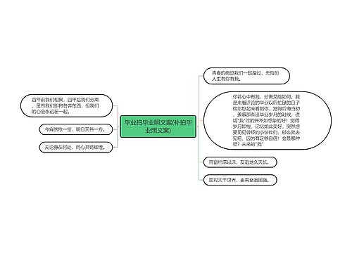 毕业拍毕业照文案(补拍毕业照文案)