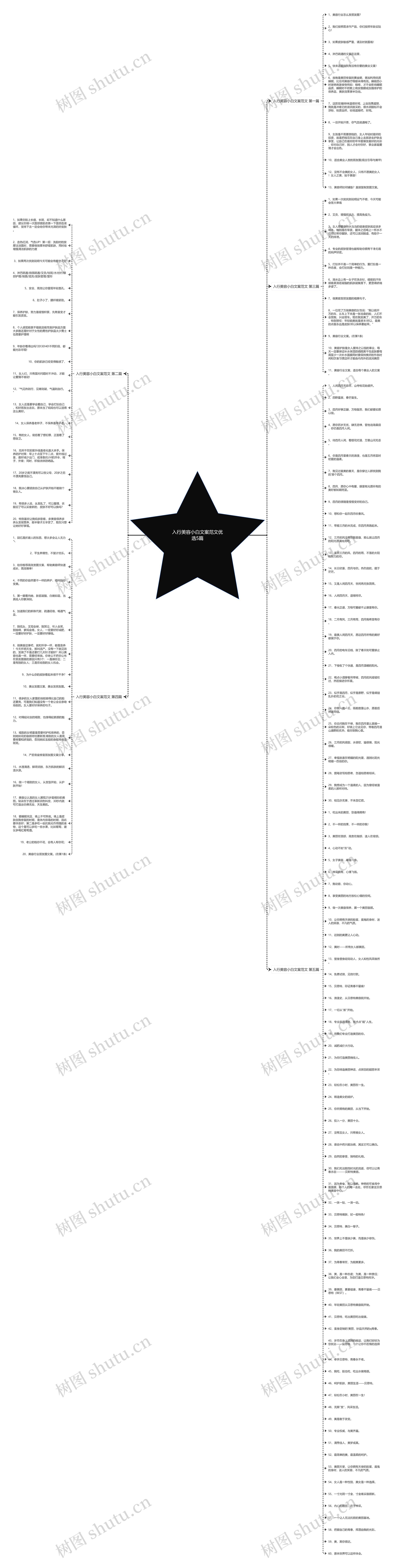 入行美容小白文案范文优选5篇思维导图