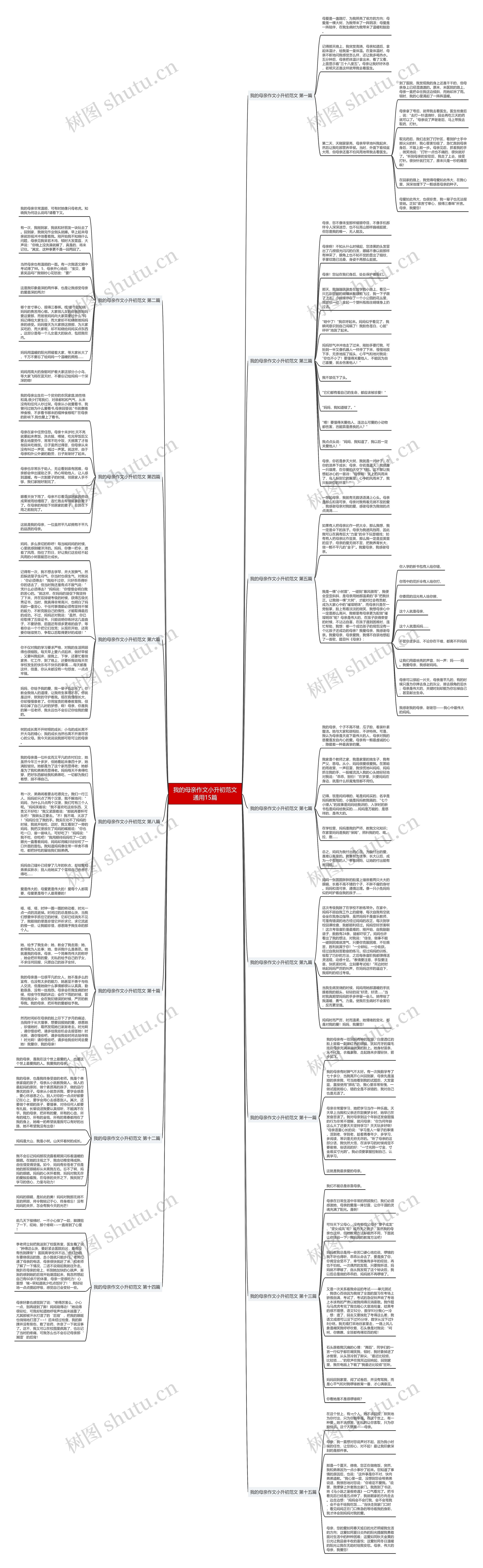 我的母亲作文小升初范文通用15篇思维导图