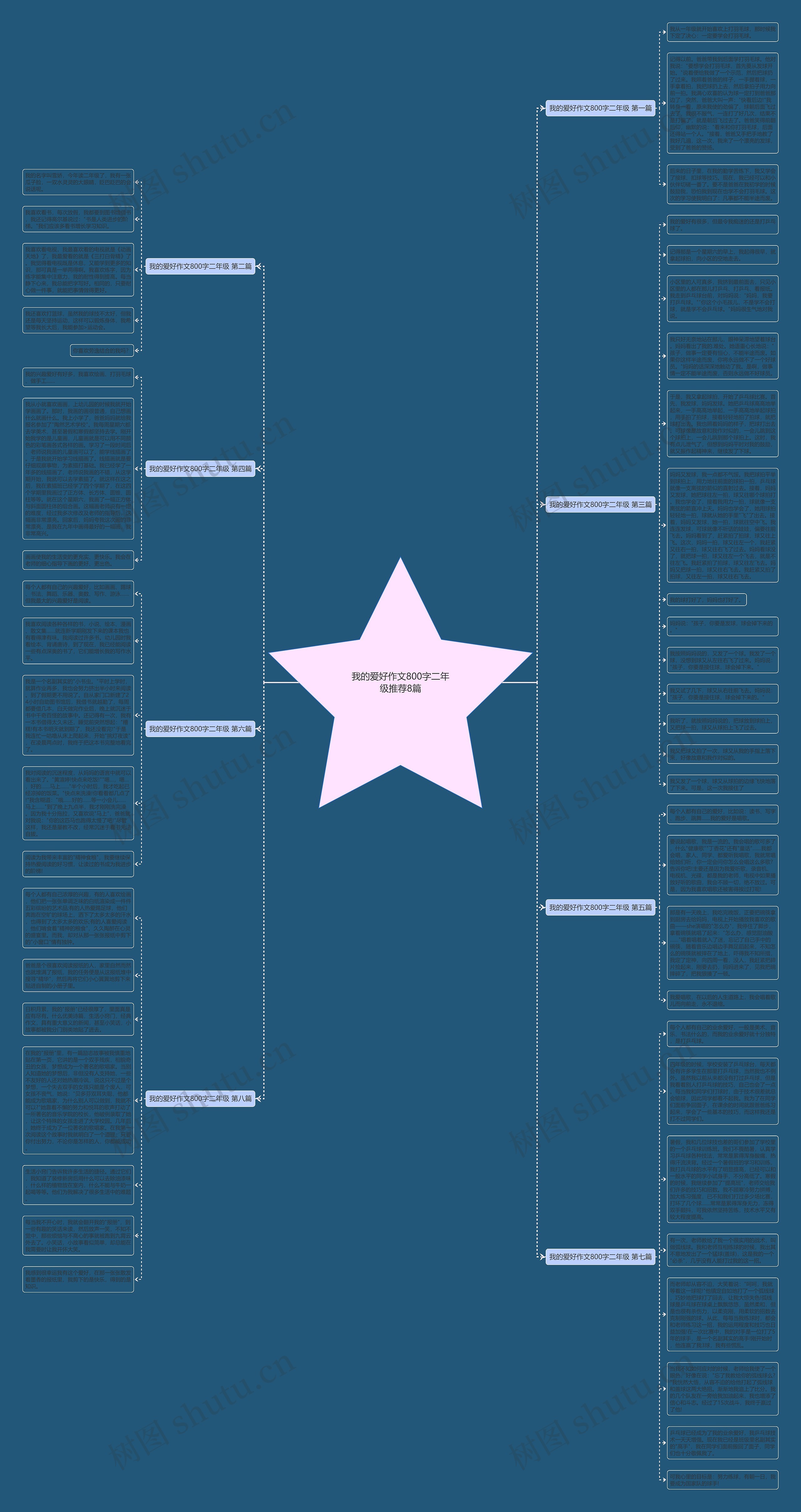 我的爱好作文800字二年级推荐8篇思维导图