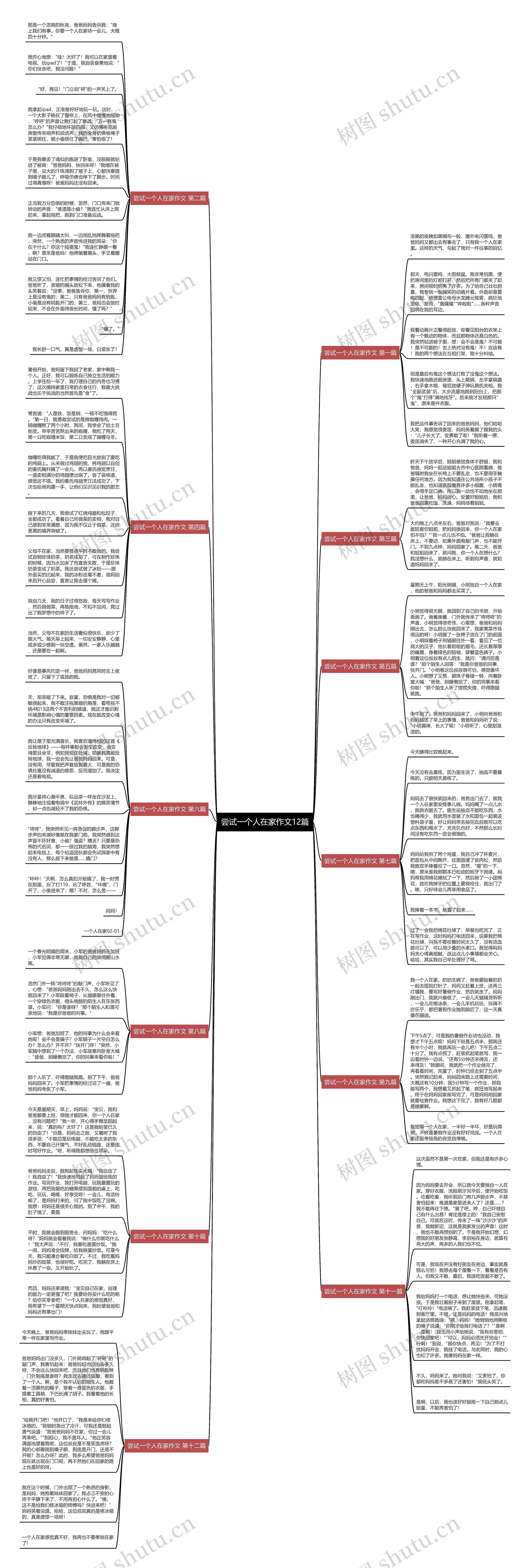 尝试一个人在家作文12篇思维导图