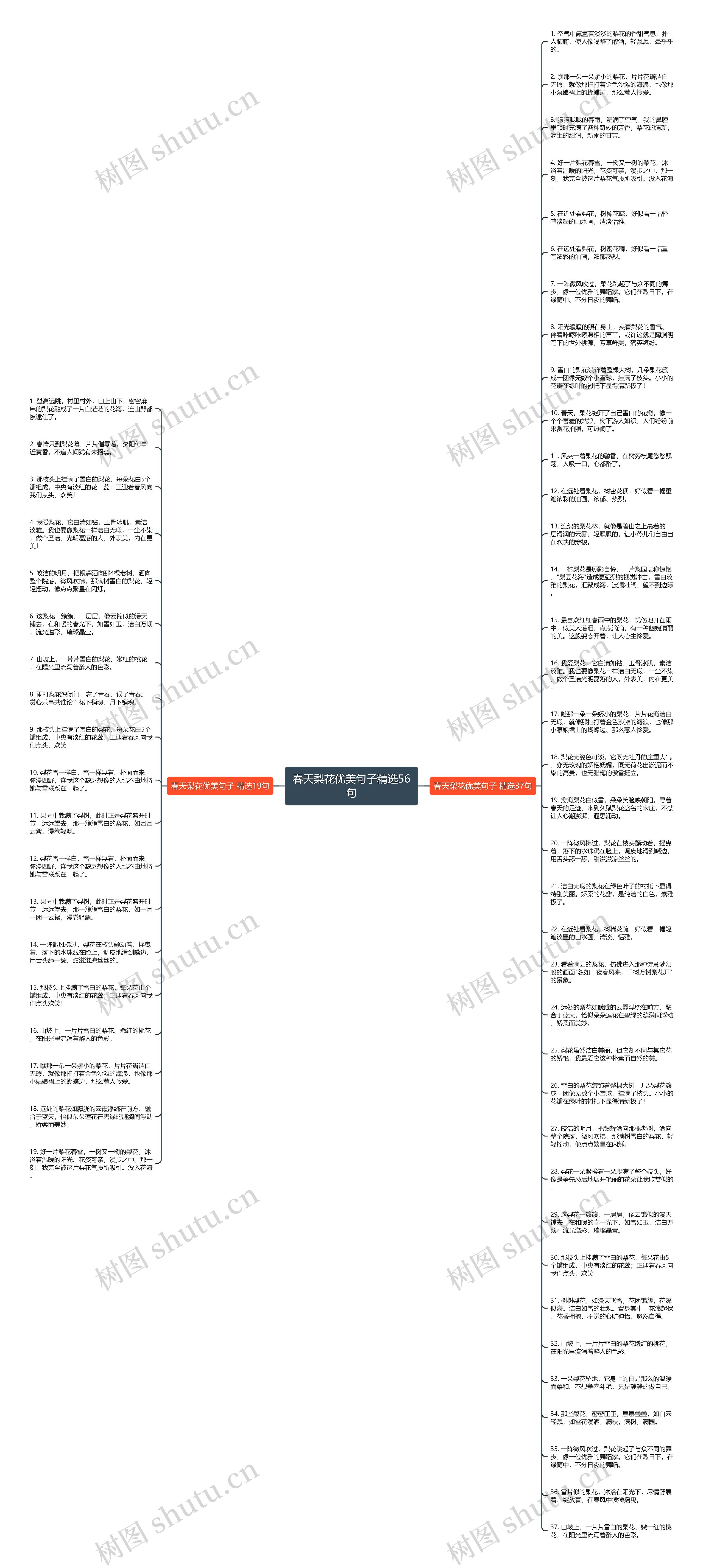 春天梨花优美句子精选56句思维导图