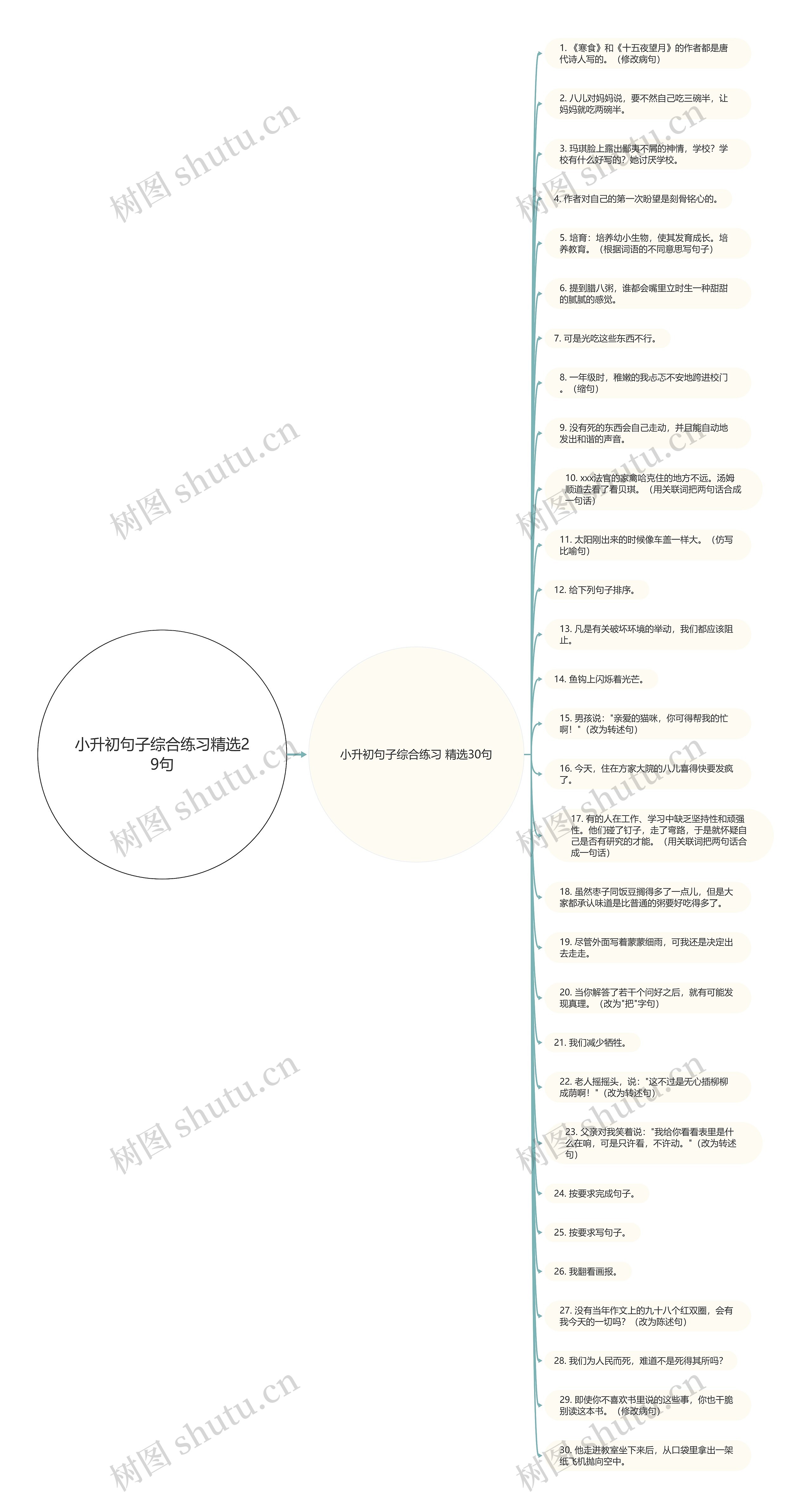 小升初句子综合练习精选29句思维导图