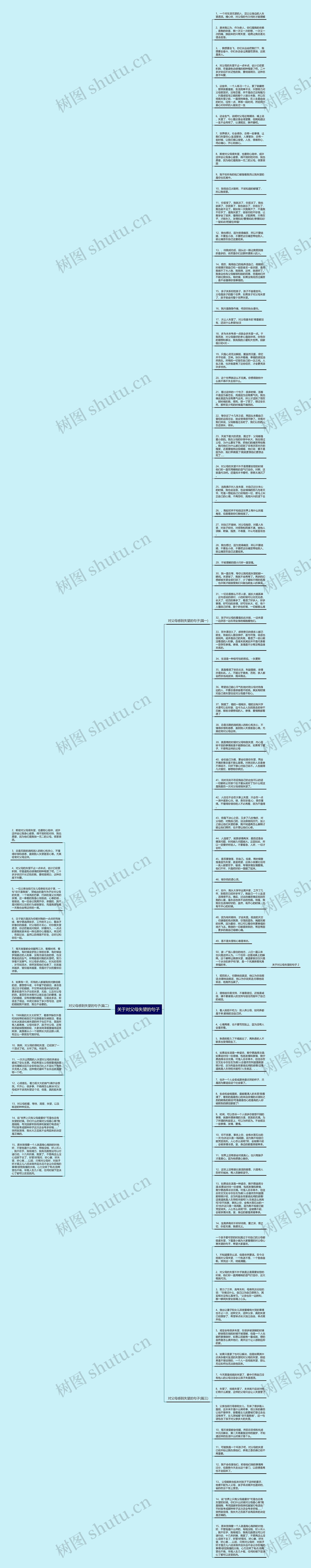 关于对父母失望的句子思维导图