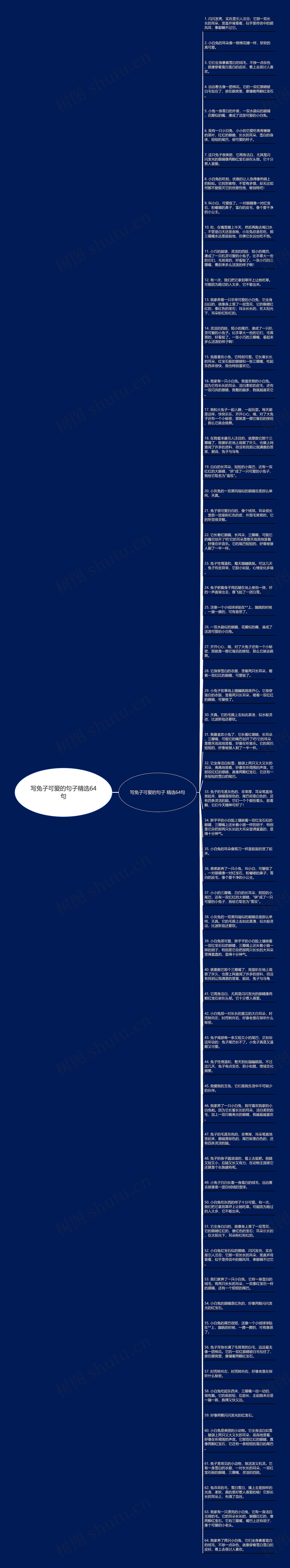 写兔子可爱的句子精选64句