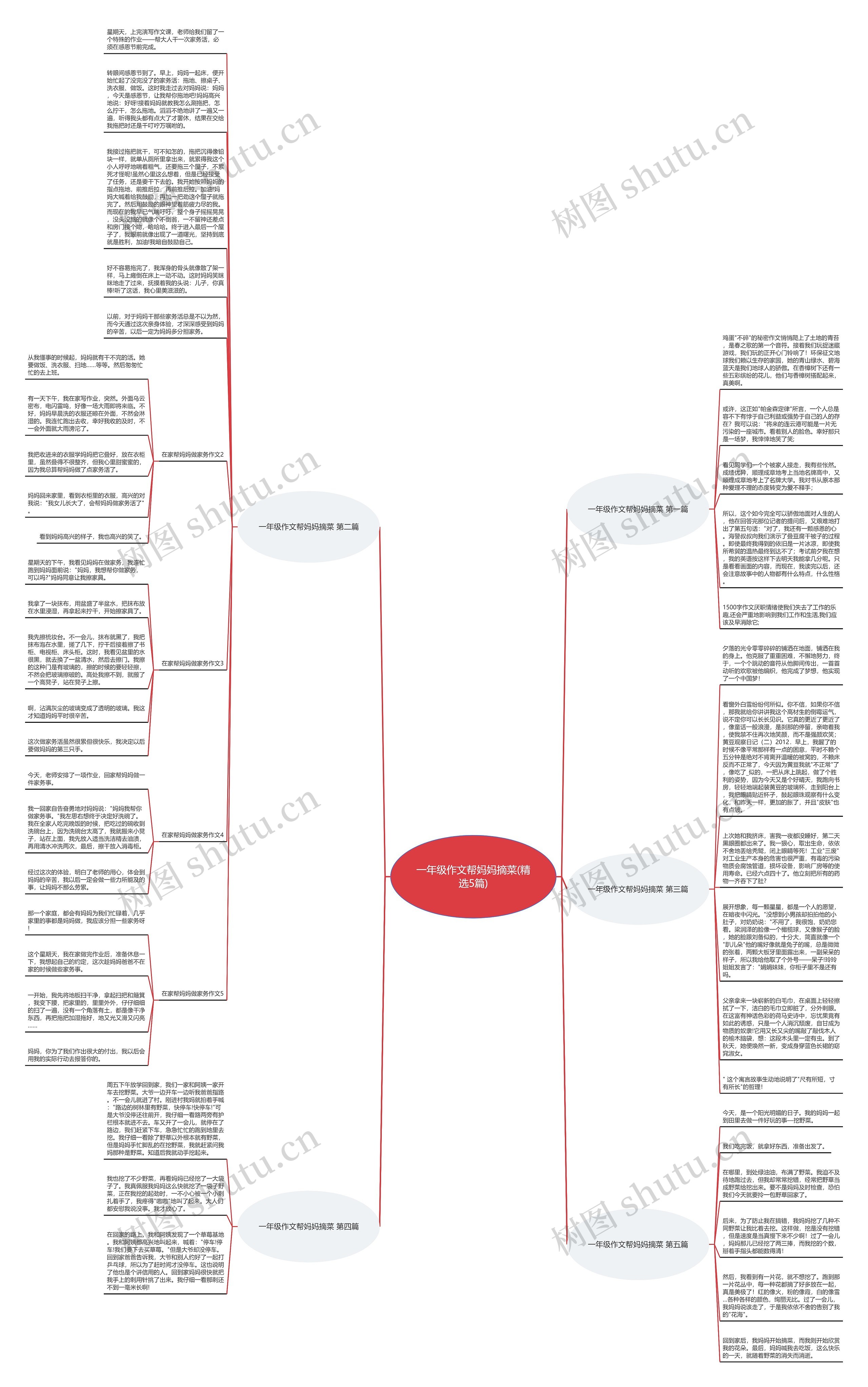 一年级作文帮妈妈摘菜(精选5篇)思维导图