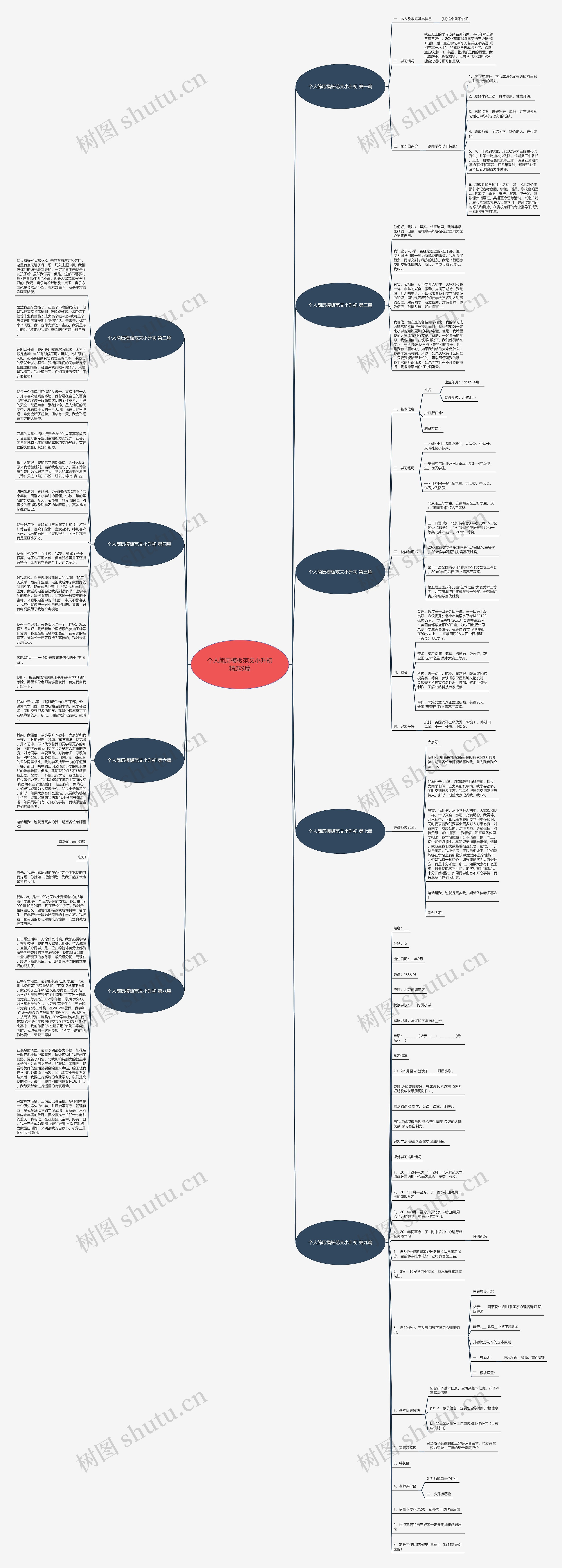 个人简历范文小升初精选9篇思维导图
