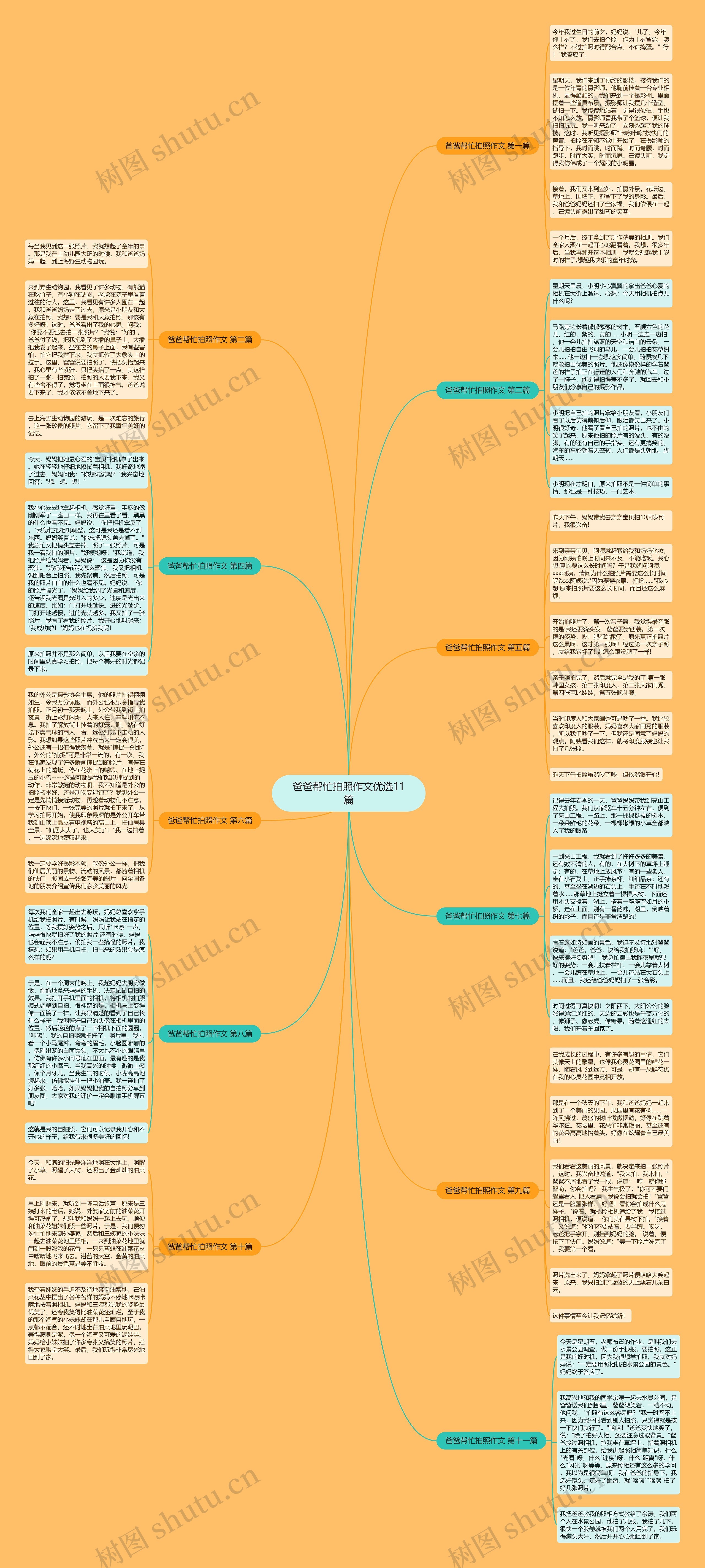 爸爸帮忙拍照作文优选11篇思维导图