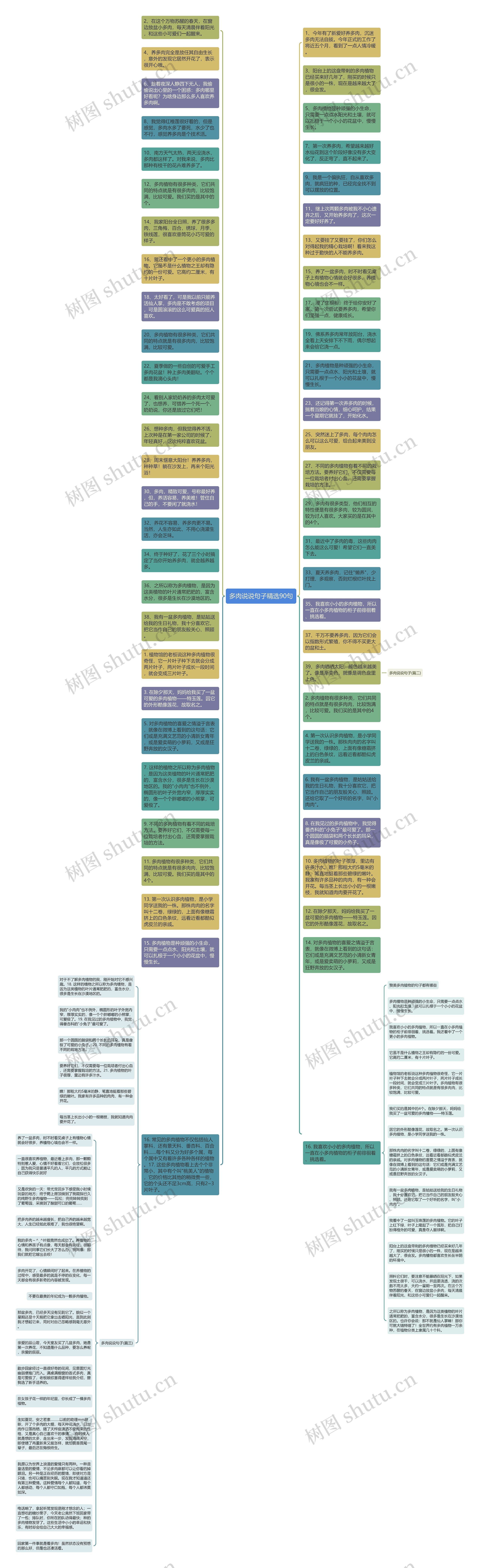 多肉说说句子精选90句思维导图