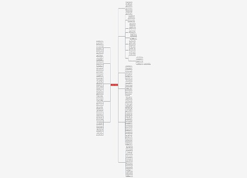 假期实践活动作文300岁11篇