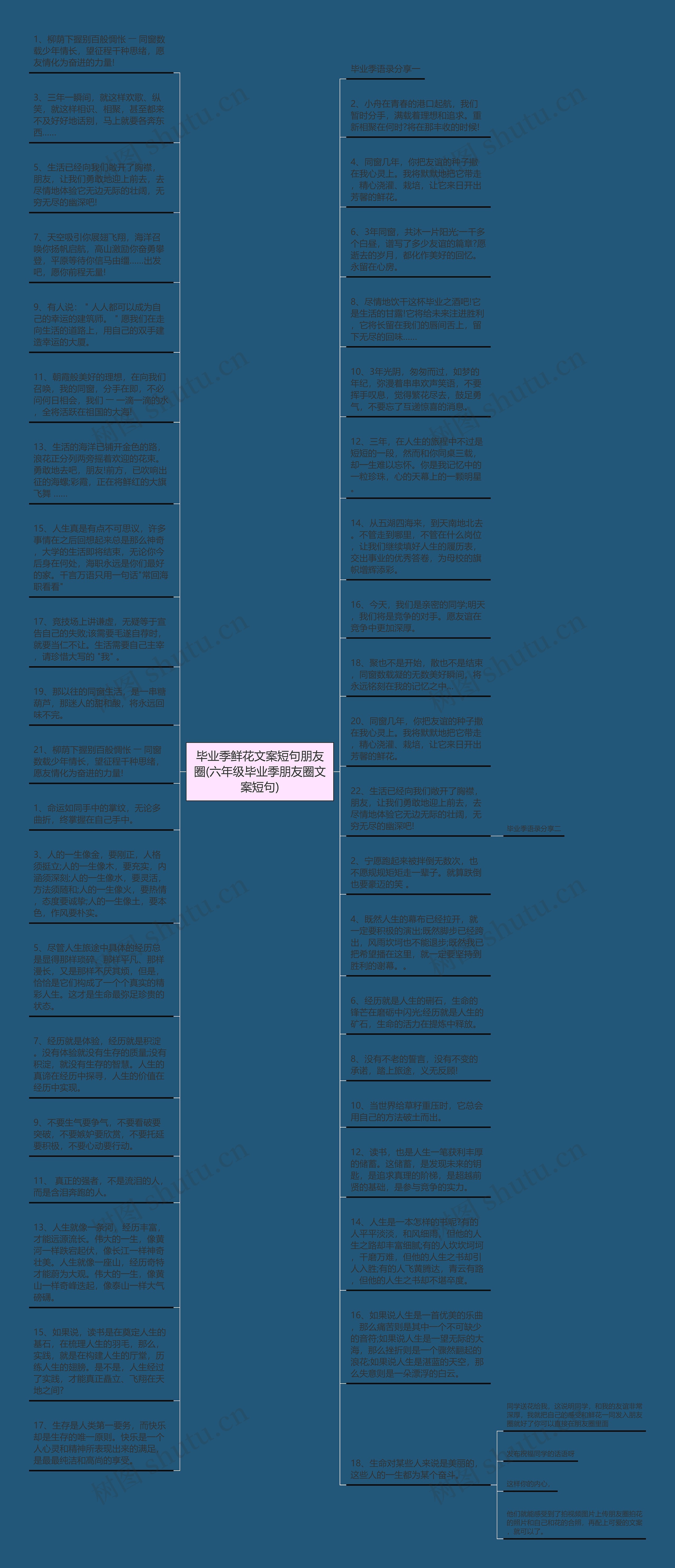 毕业季鲜花文案短句朋友圈(六年级毕业季朋友圈文案短句)