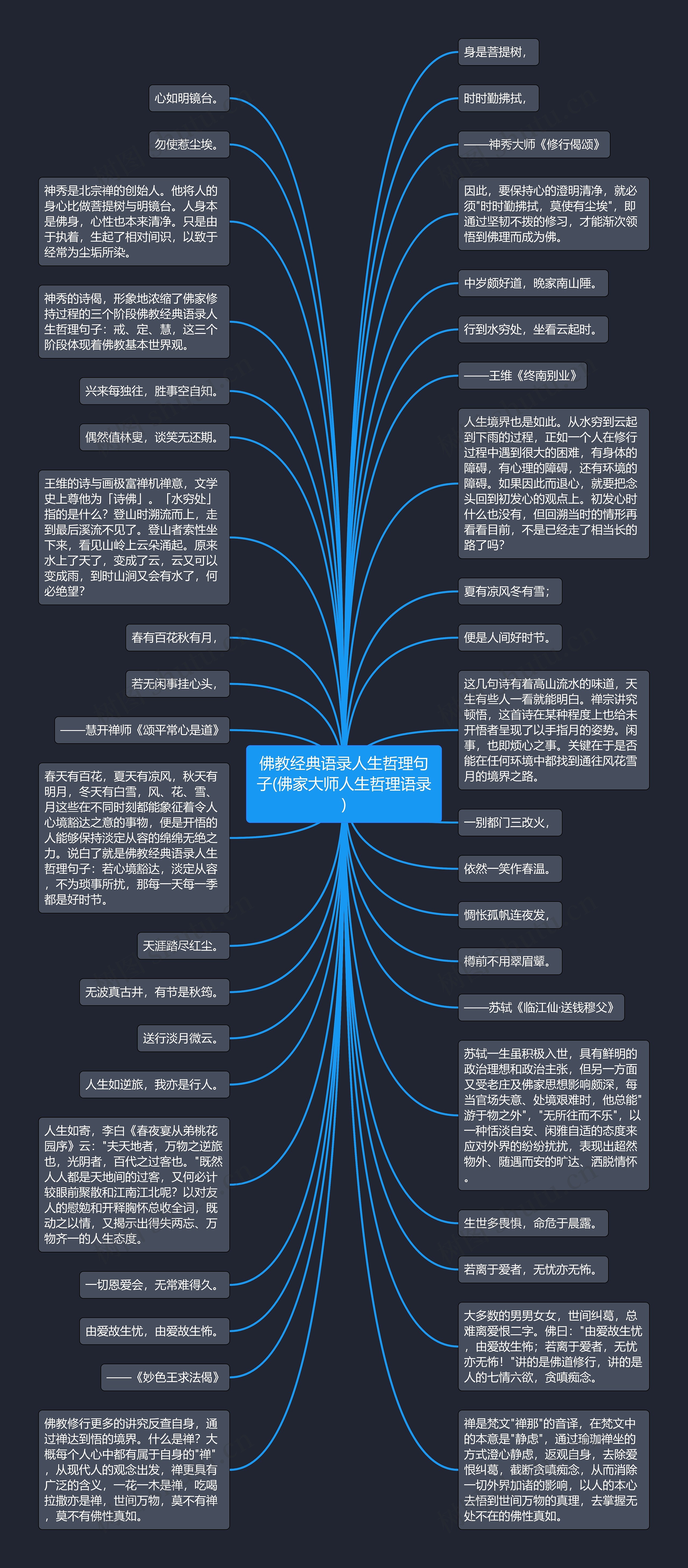 佛教经典语录人生哲理句子(佛家大师人生哲理语录)思维导图