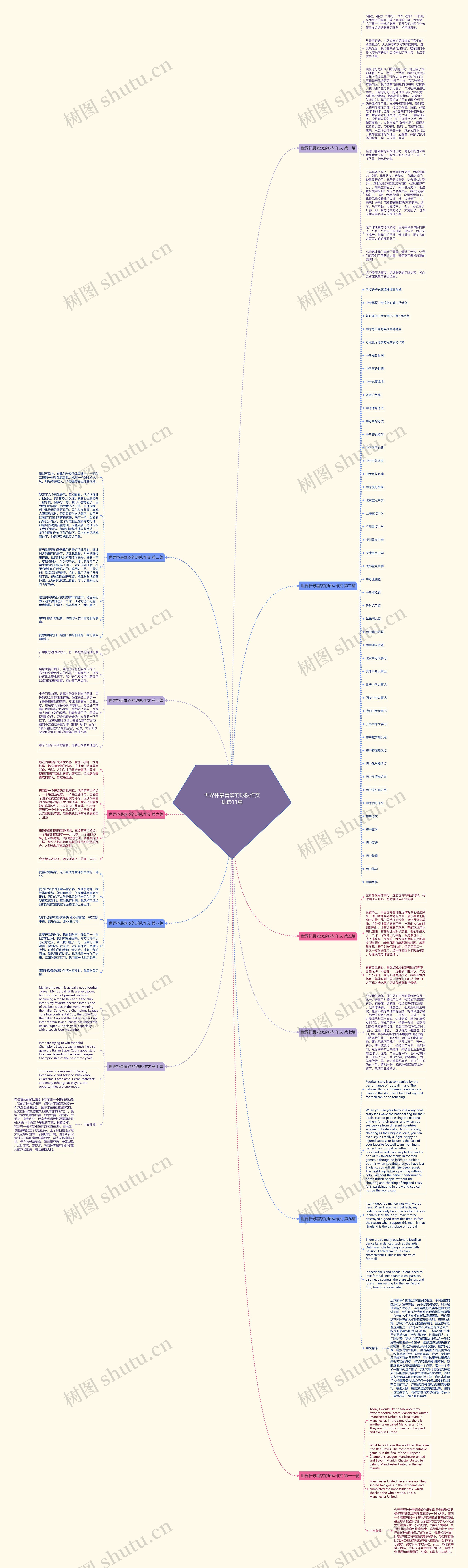世界杯最喜欢的球队作文优选11篇思维导图