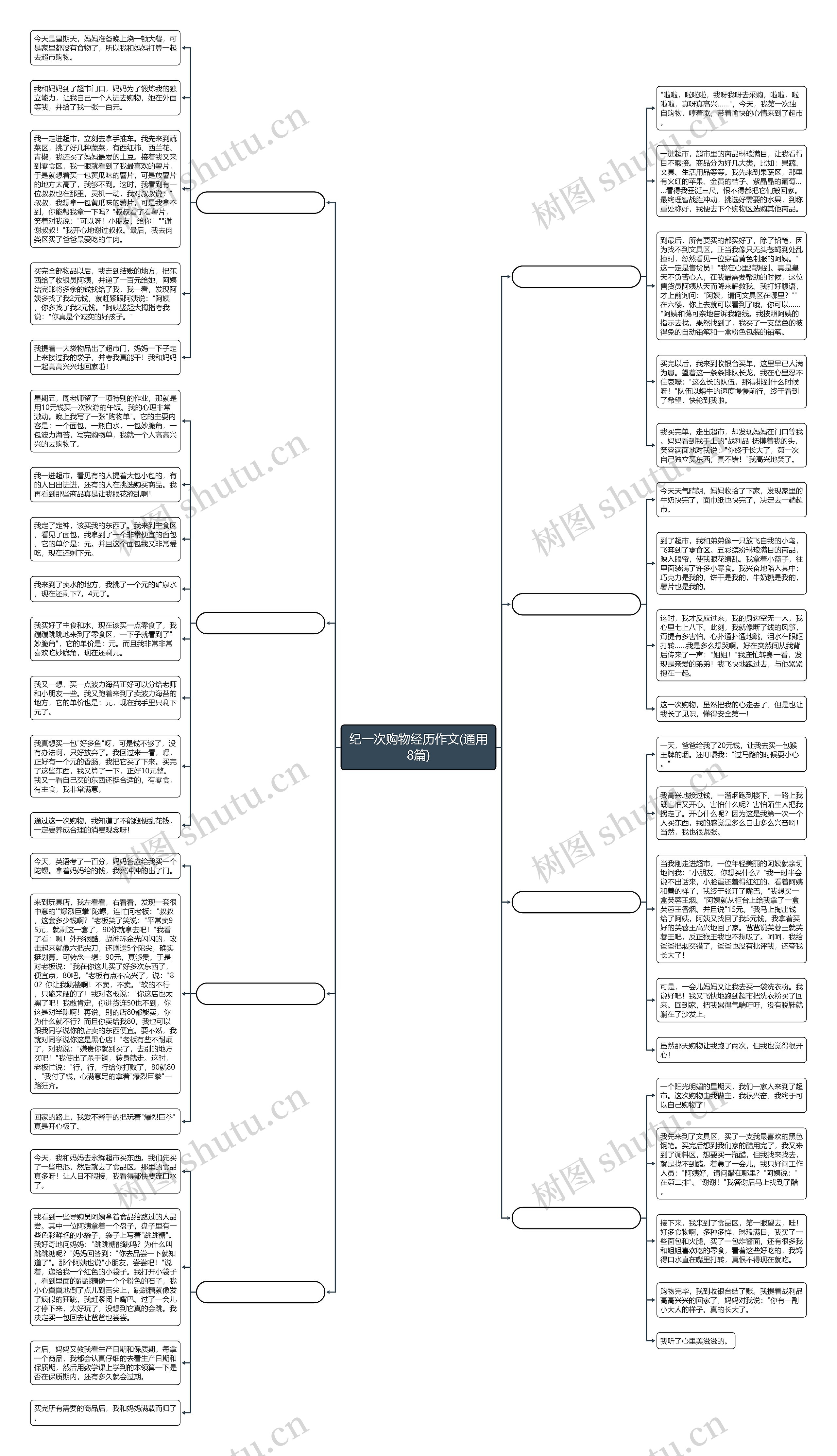 纪一次购物经历作文(通用8篇)思维导图