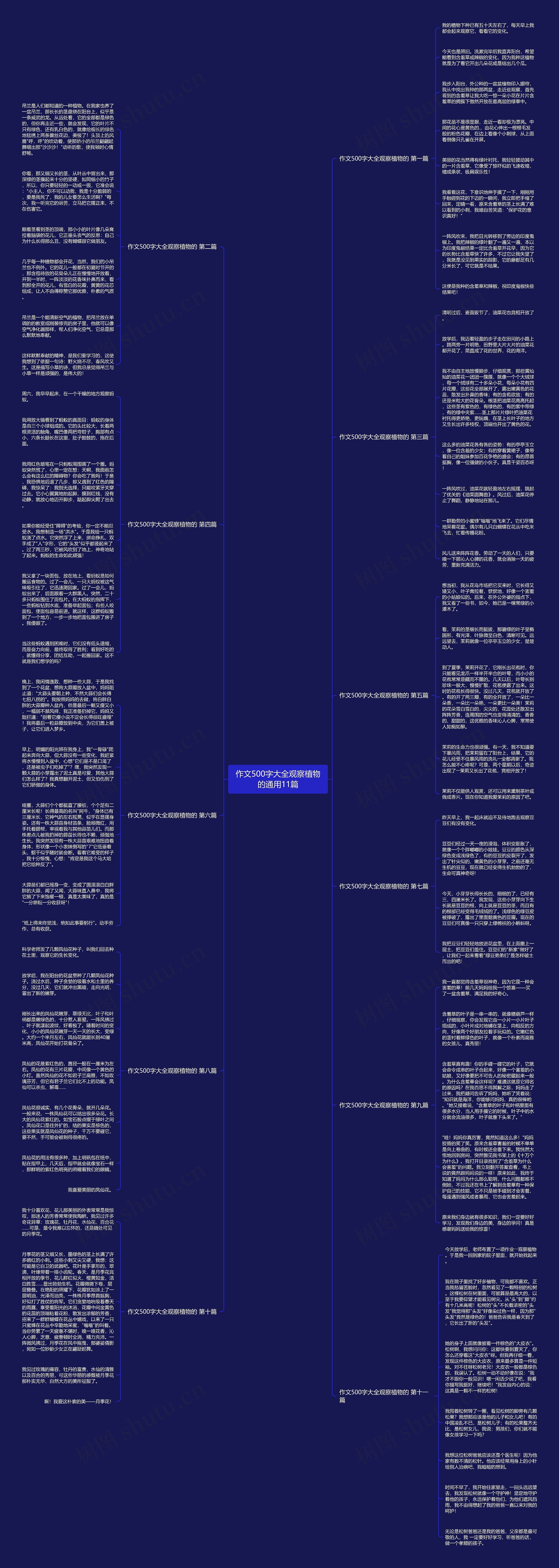 作文500字大全观察植物的通用11篇思维导图