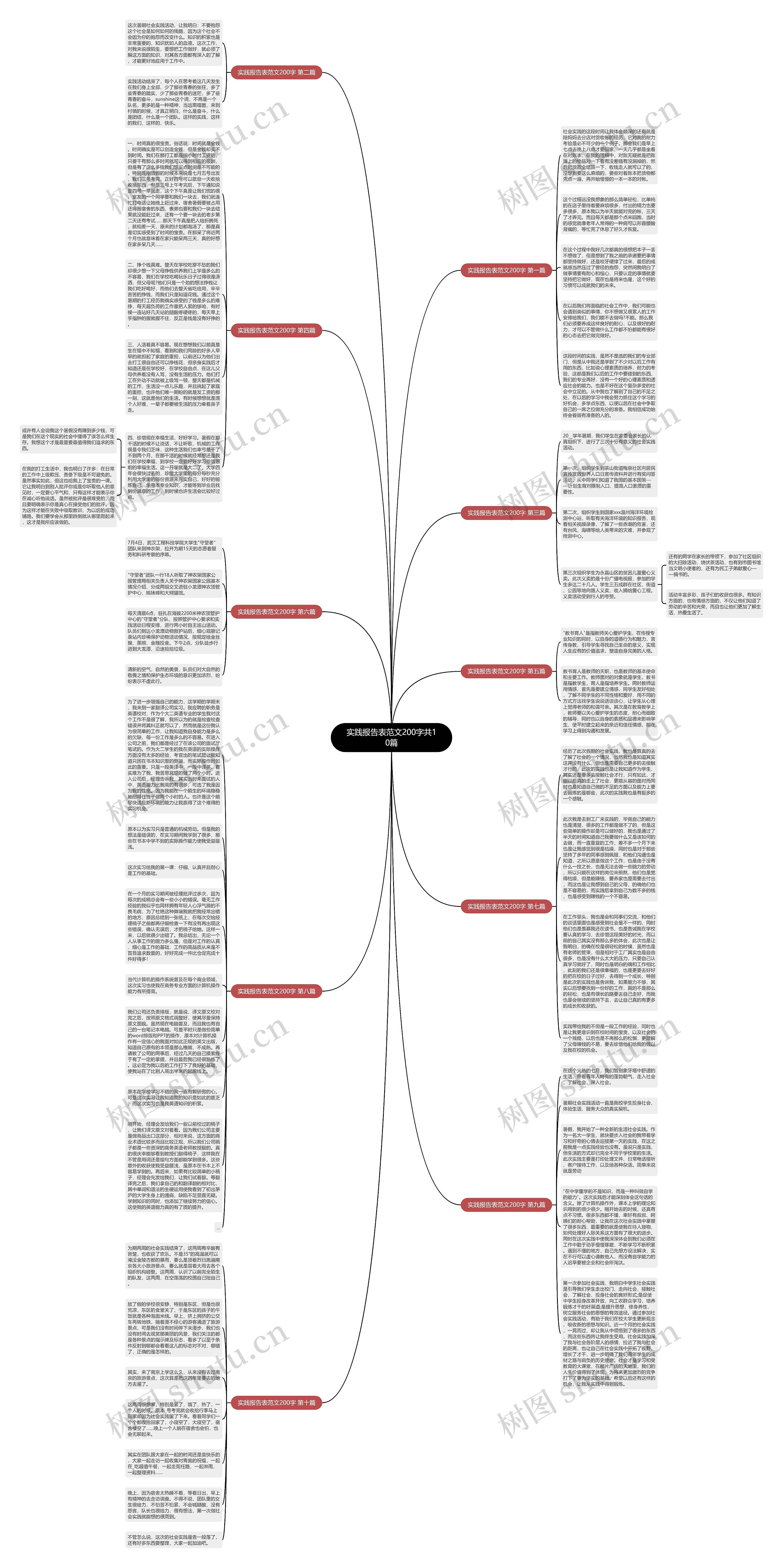实践报告表范文200字共10篇思维导图