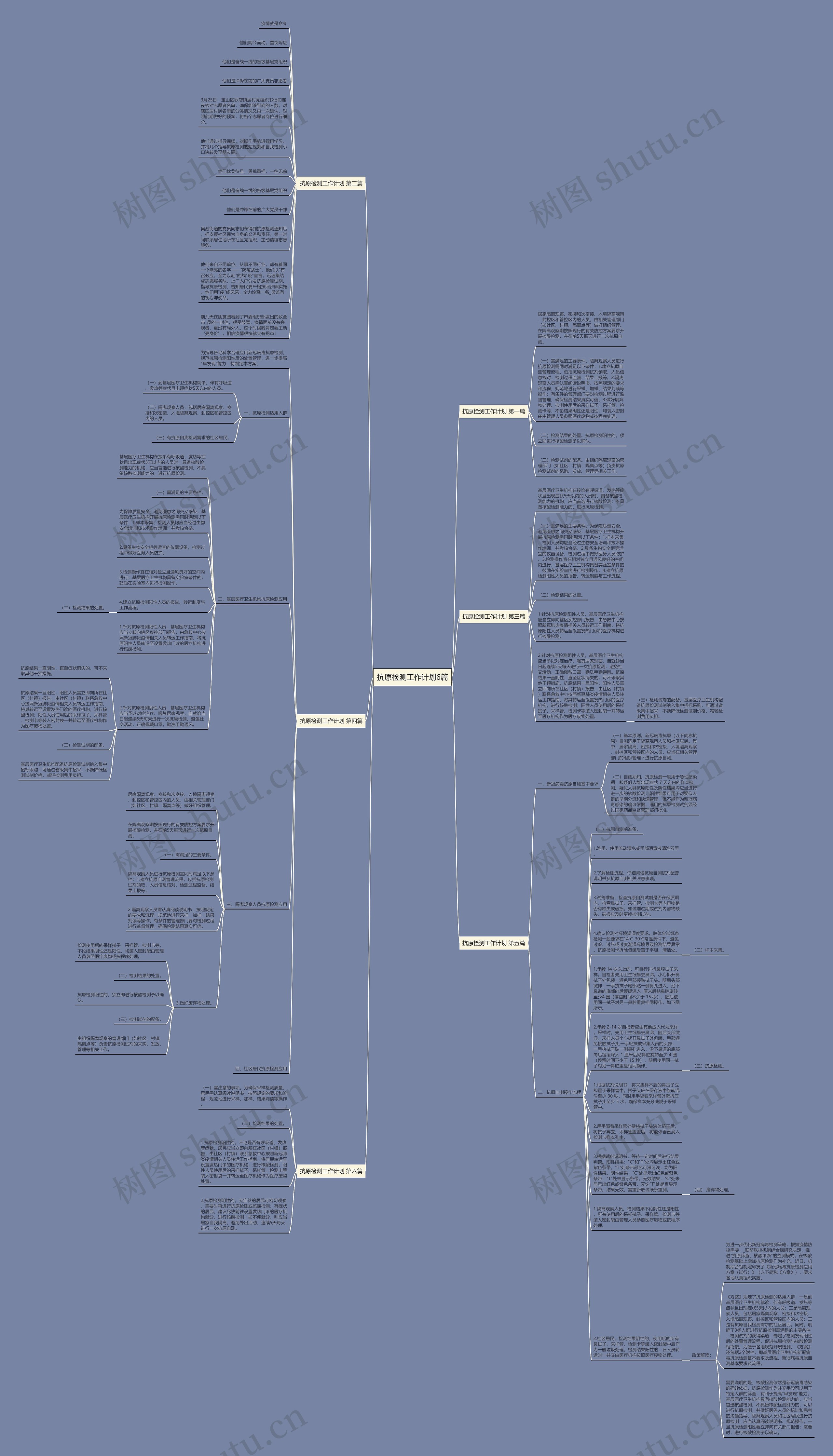 抗原检测工作计划6篇思维导图