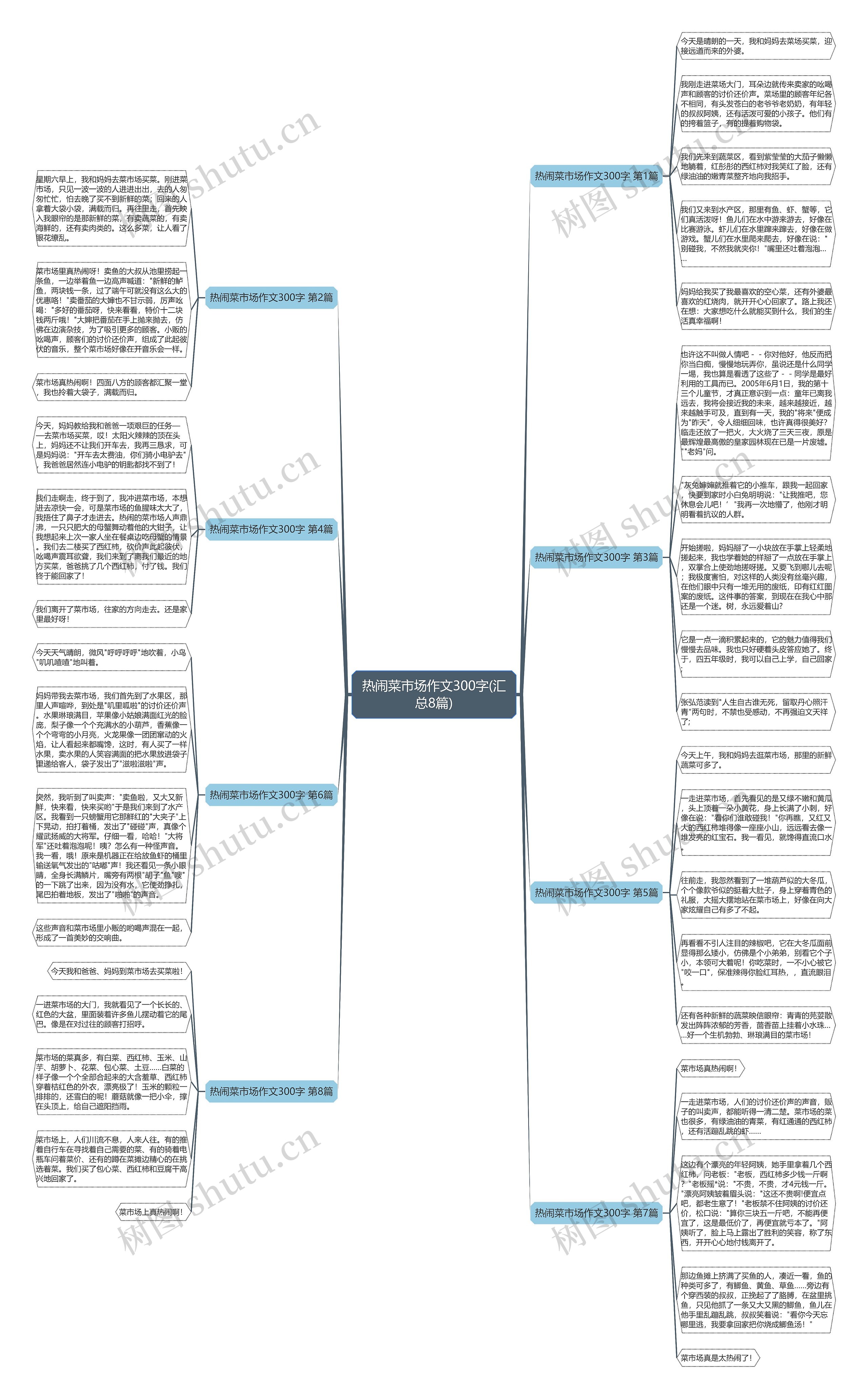 热闹菜市场作文300字(汇总8篇)思维导图