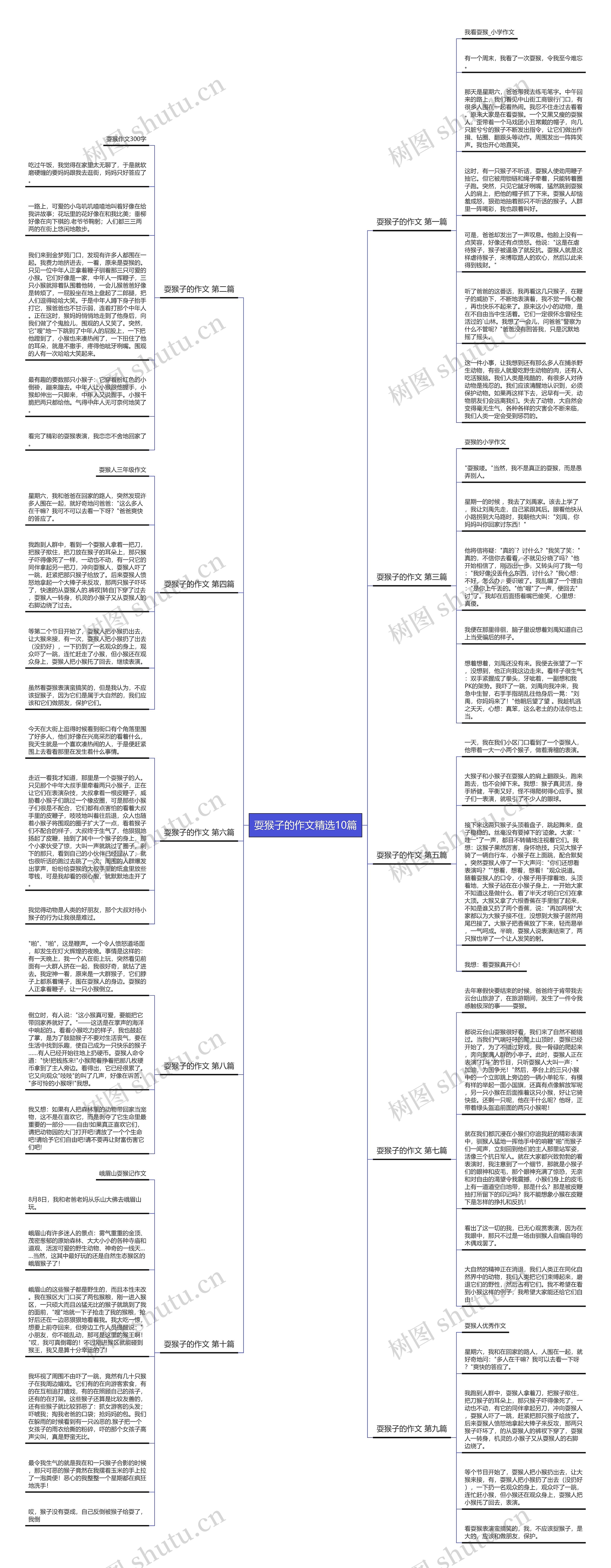 耍猴子的作文精选10篇思维导图