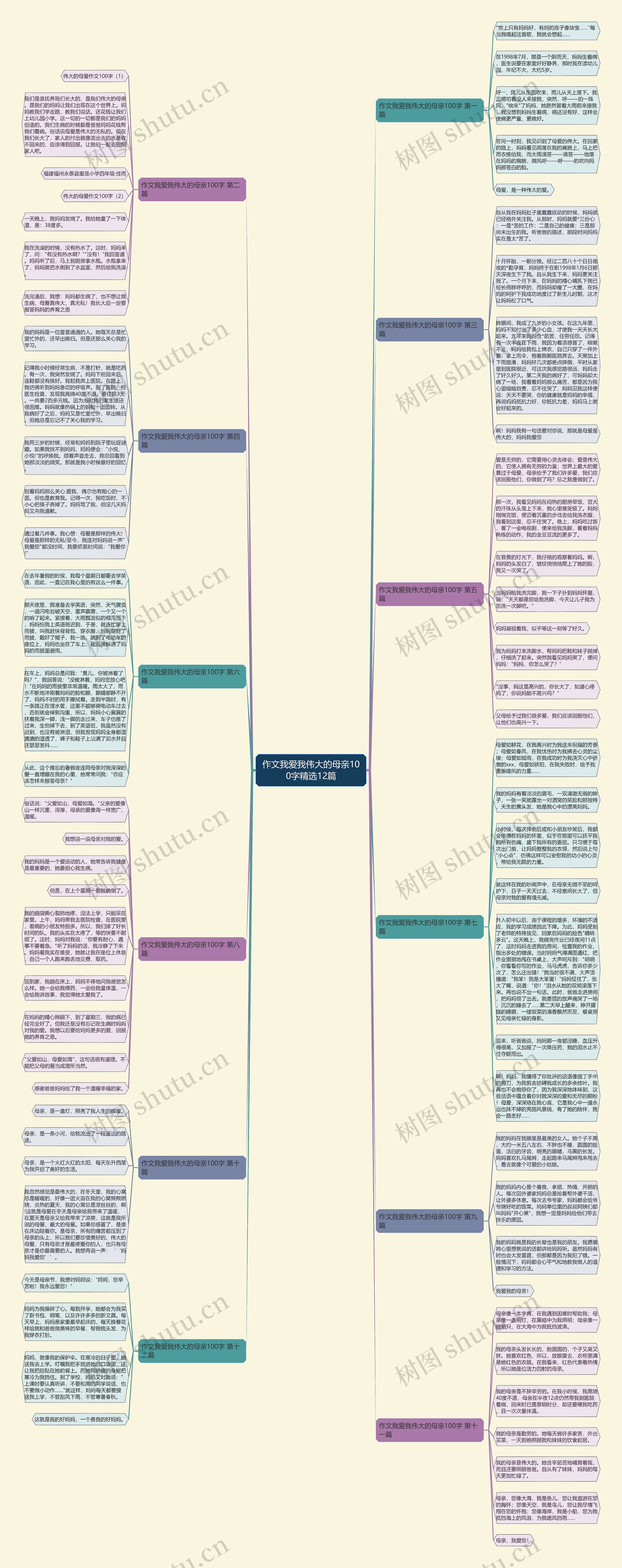 作文我爱我伟大的母亲100字精选12篇思维导图
