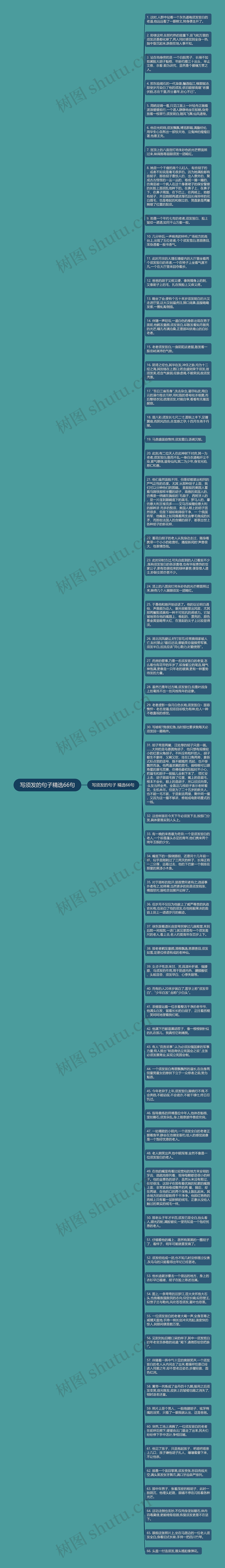 写须发的句子精选66句