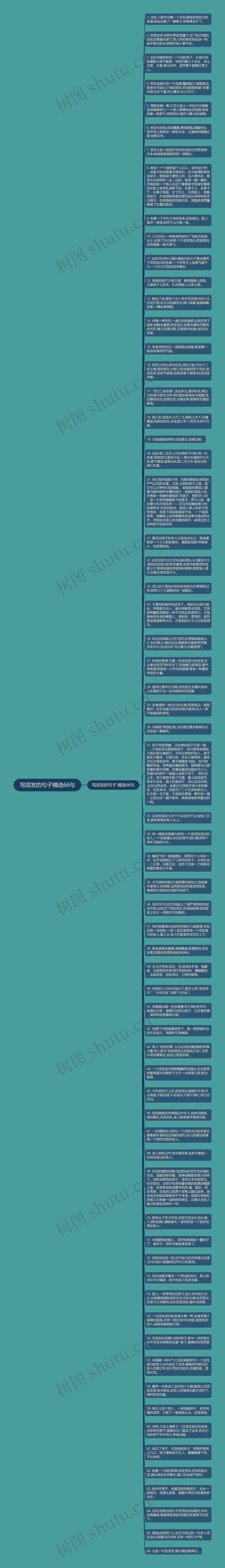 写须发的句子精选66句思维导图