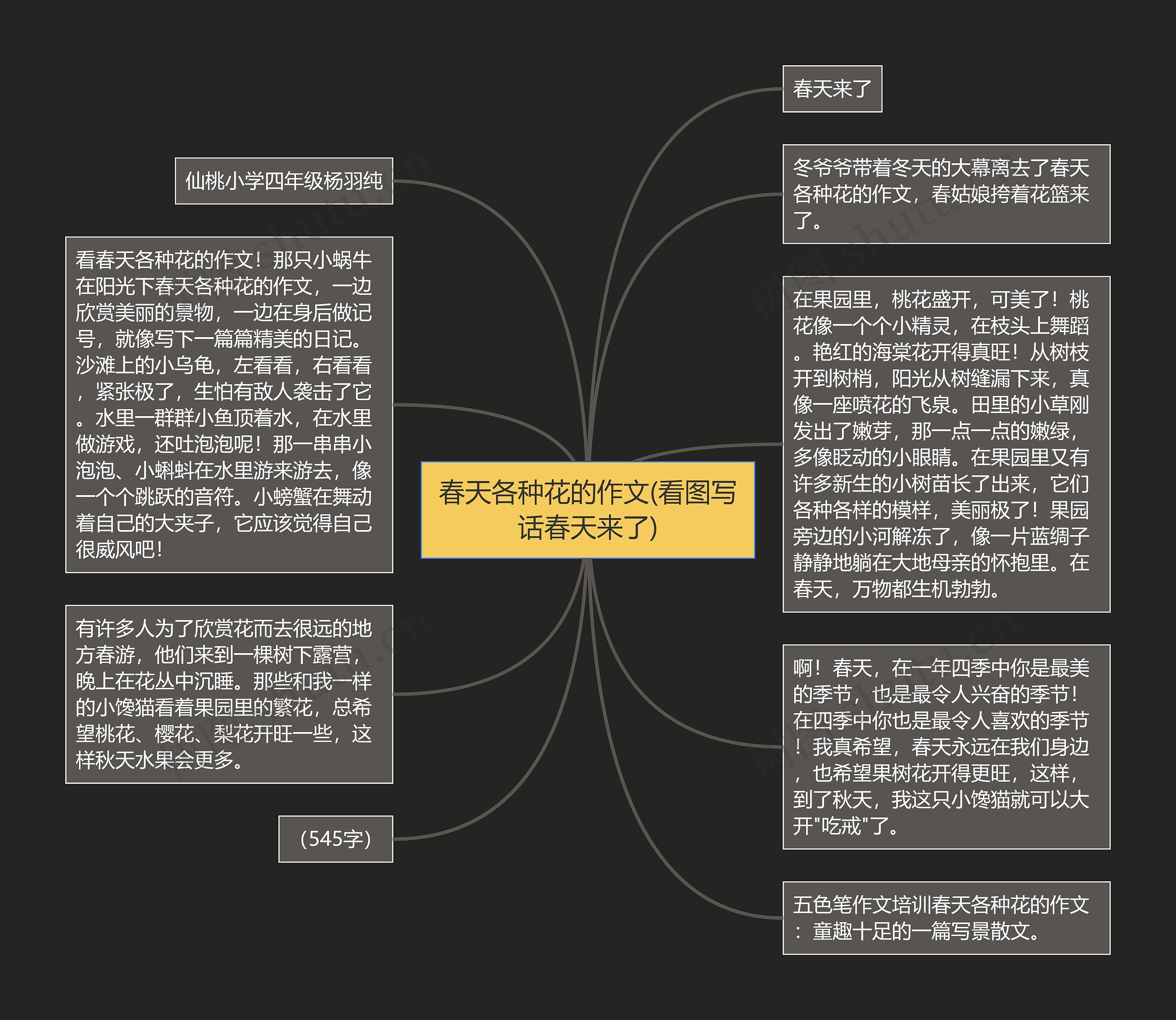 春天各种花的作文(看图写话春天来了)思维导图