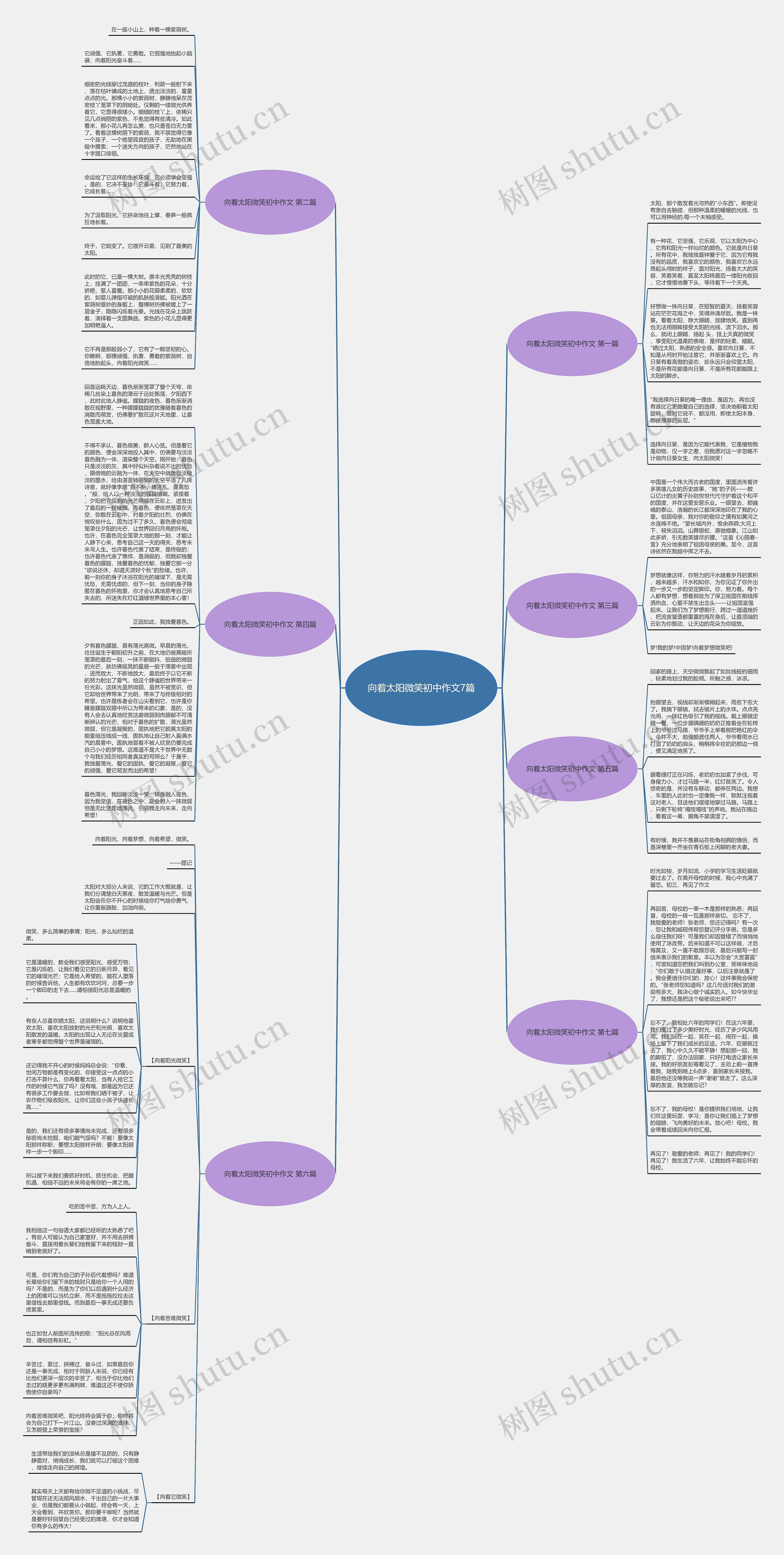 向着太阳微笑初中作文7篇思维导图