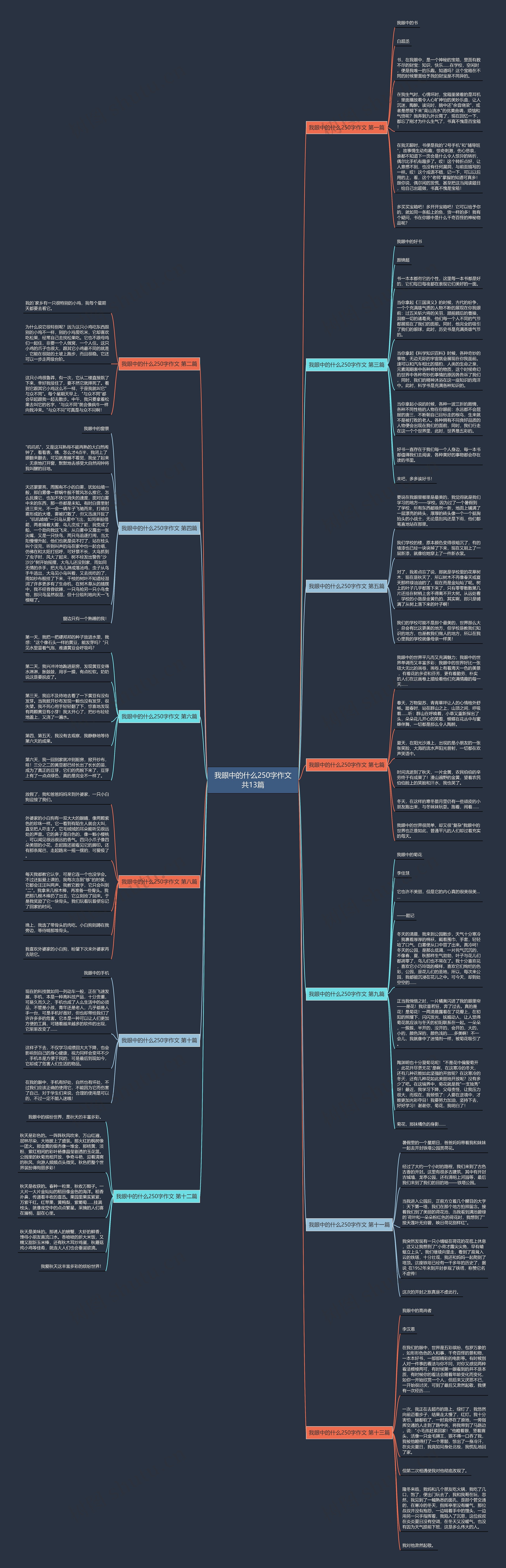 我眼中的什么250字作文共13篇思维导图