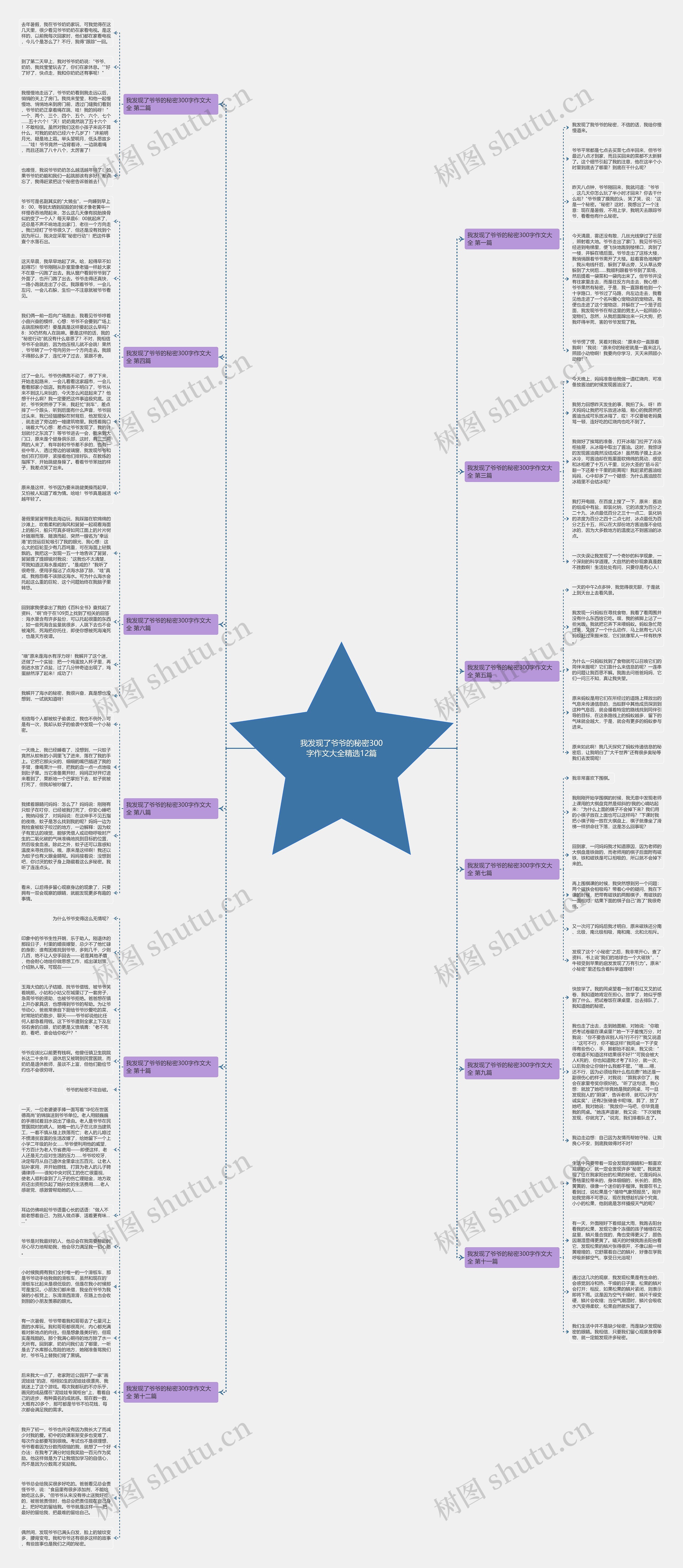 我发现了爷爷的秘密300字作文大全精选12篇思维导图
