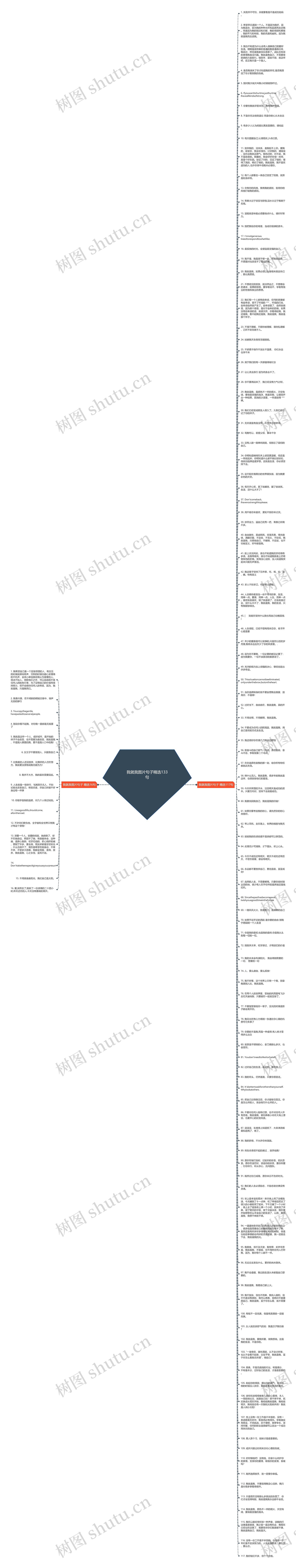 我就我图片句子精选133句思维导图