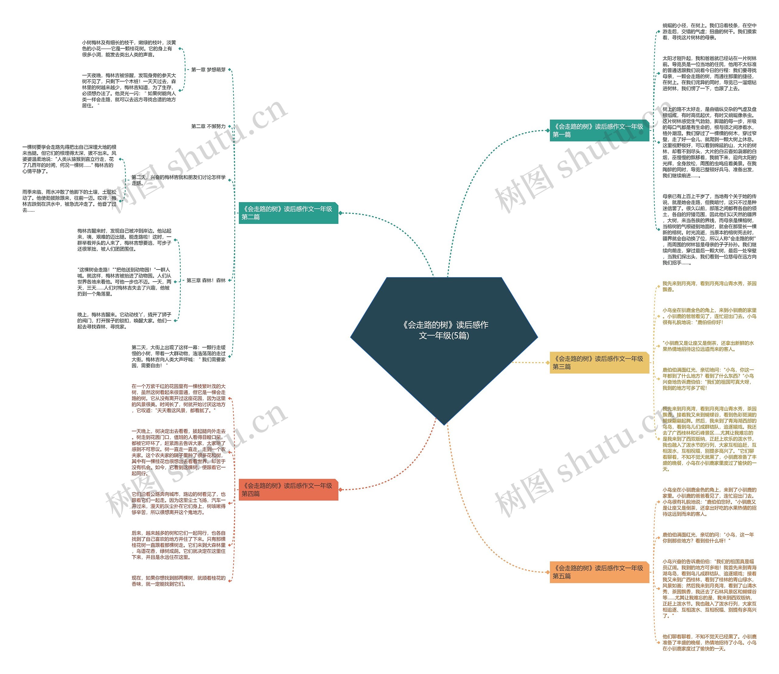 《会走路的树》读后感作文一年级(5篇)思维导图