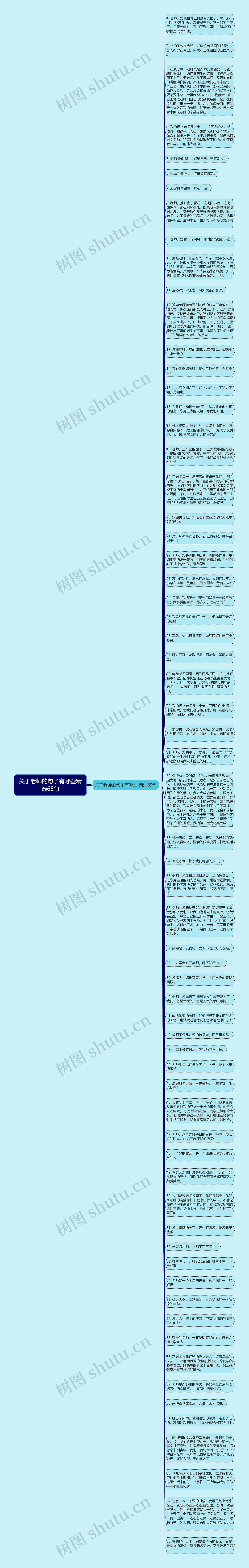 关于老师的句子有哪些精选65句思维导图