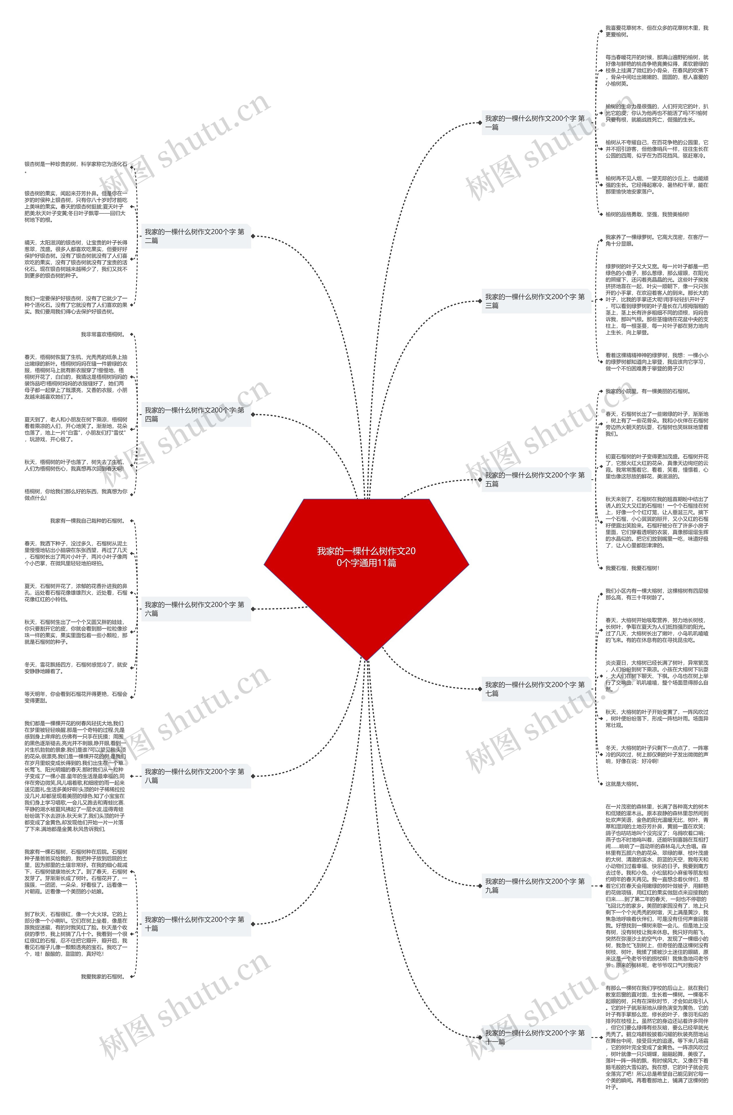 我家的一棵什么树作文200个字通用11篇思维导图