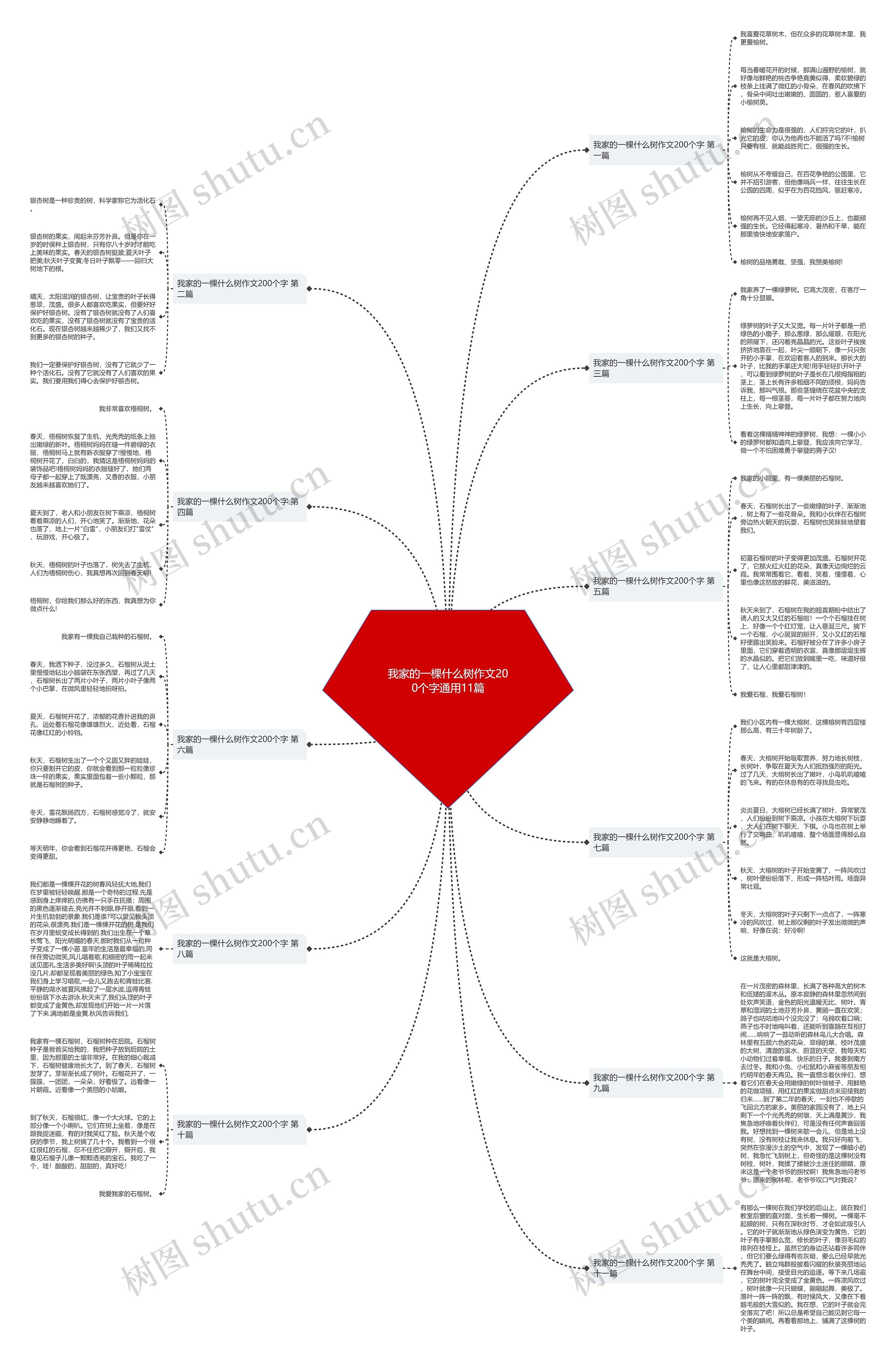 我家的一棵什么树作文200个字通用11篇 我家的一棵什么树作文200个字通用11篇