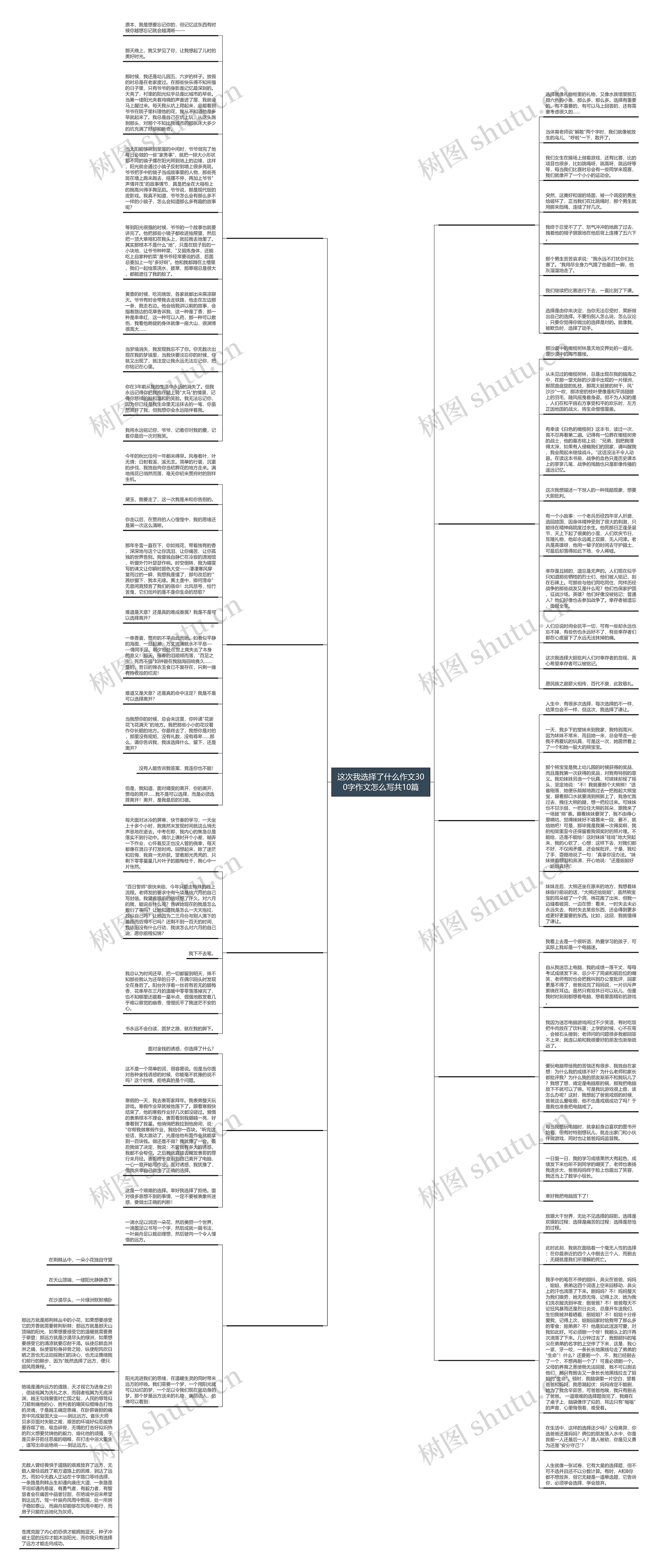 这次我选择了什么作文300字作文怎么写共10篇思维导图高清图 这次我选择了什么作文300字作文怎么写共10篇思维导图