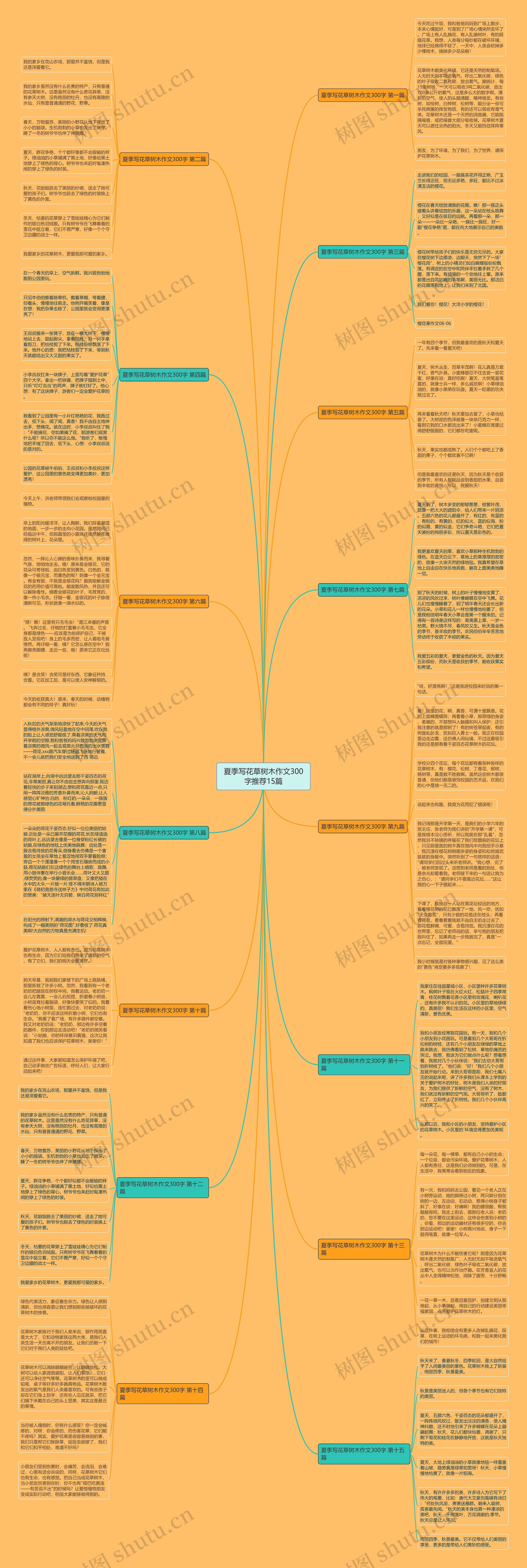 夏季写花草树木作文300字推荐15篇思维导图