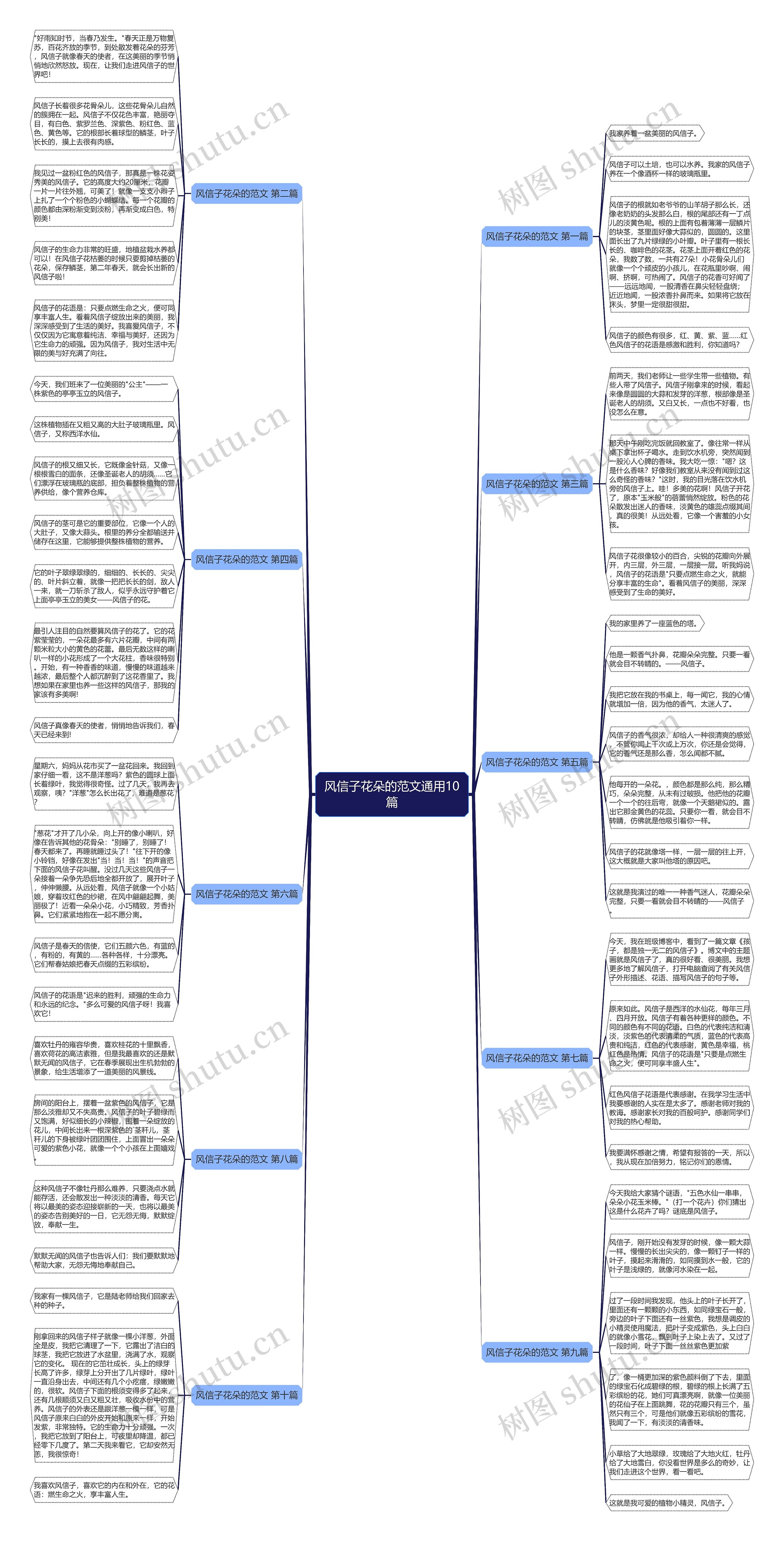 风信子花朵的范文通用10篇思维导图