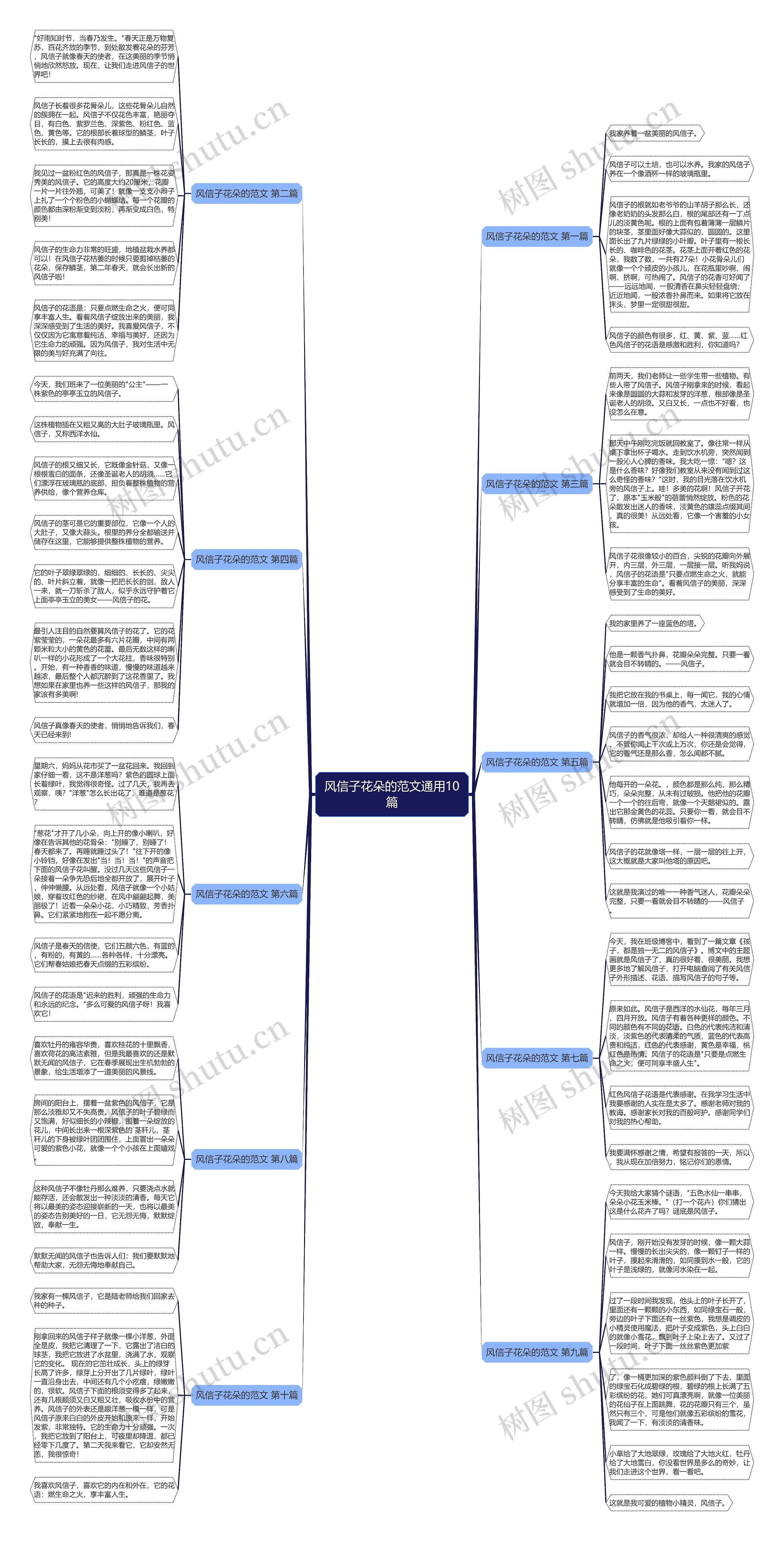 风信子花朵的范文通用10篇 风信子花朵的范文通用10篇