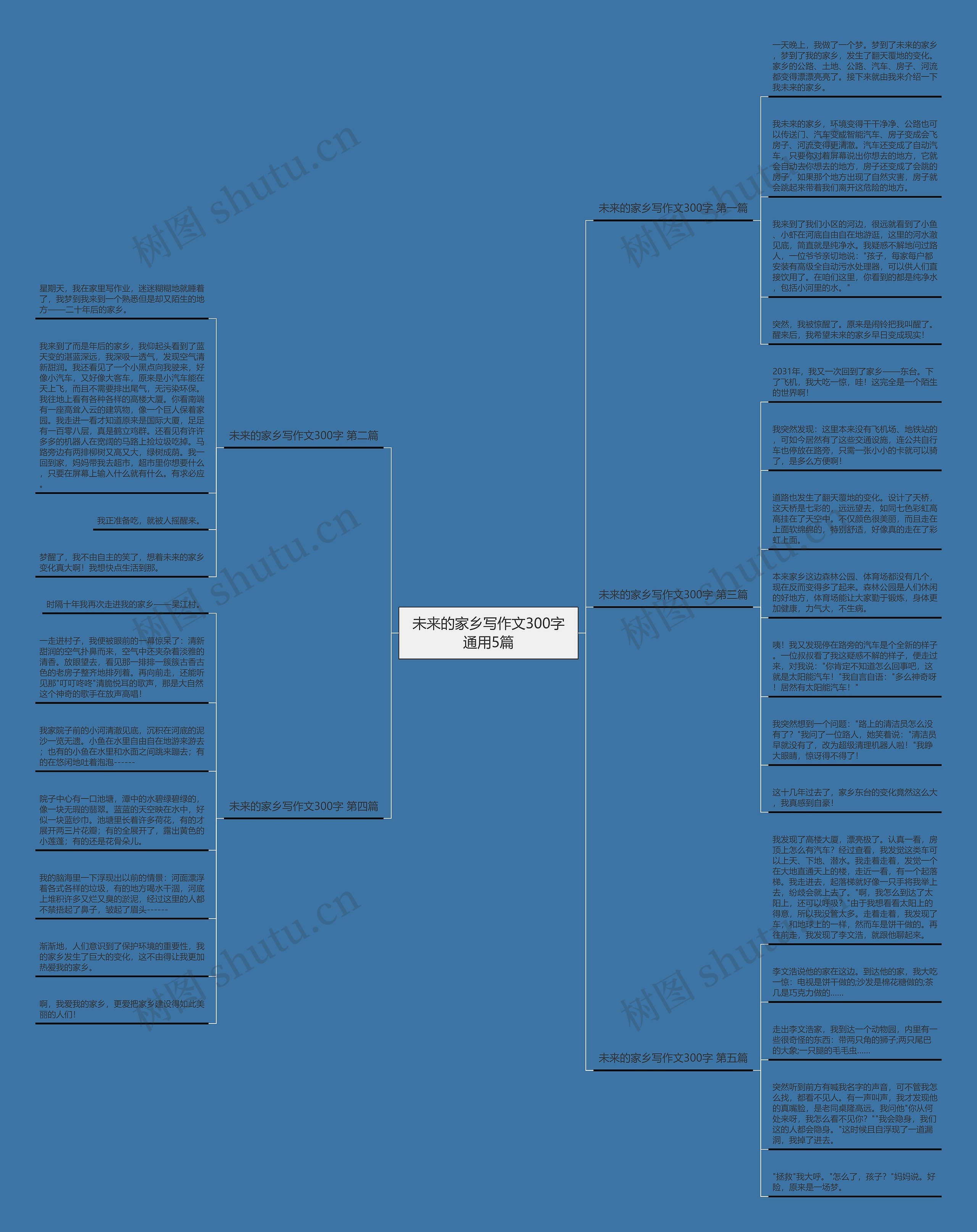 未来的家乡写作文300字通用5篇