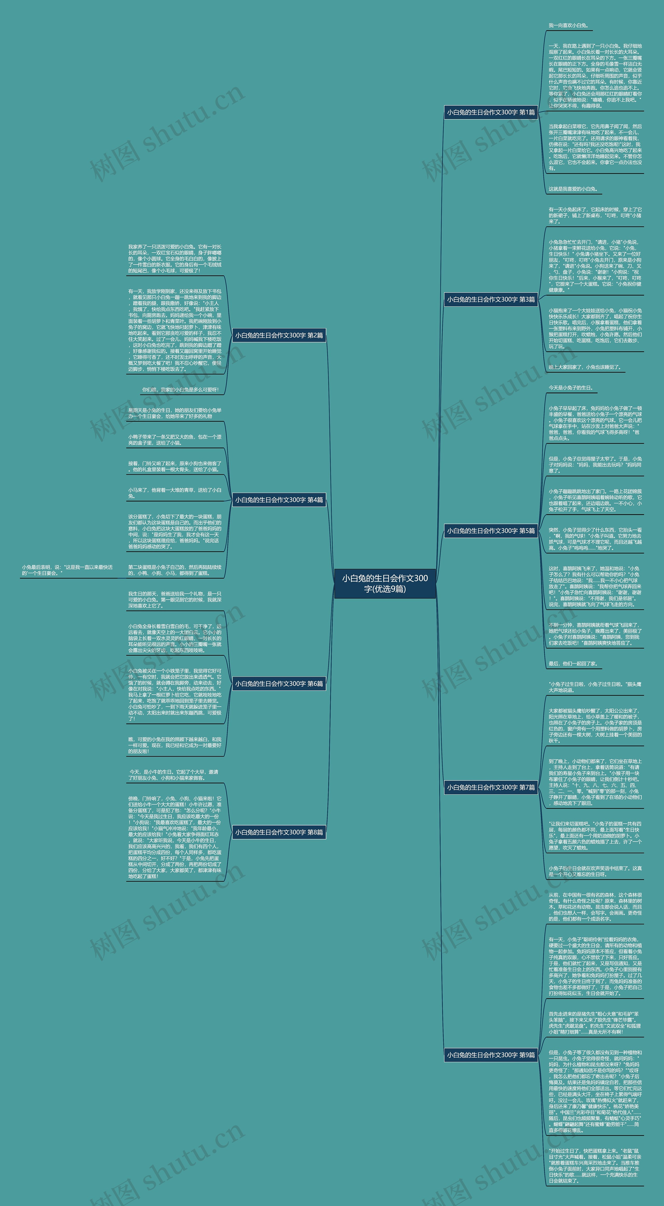 小白兔的生日会作文300字(优选9篇)思维导图