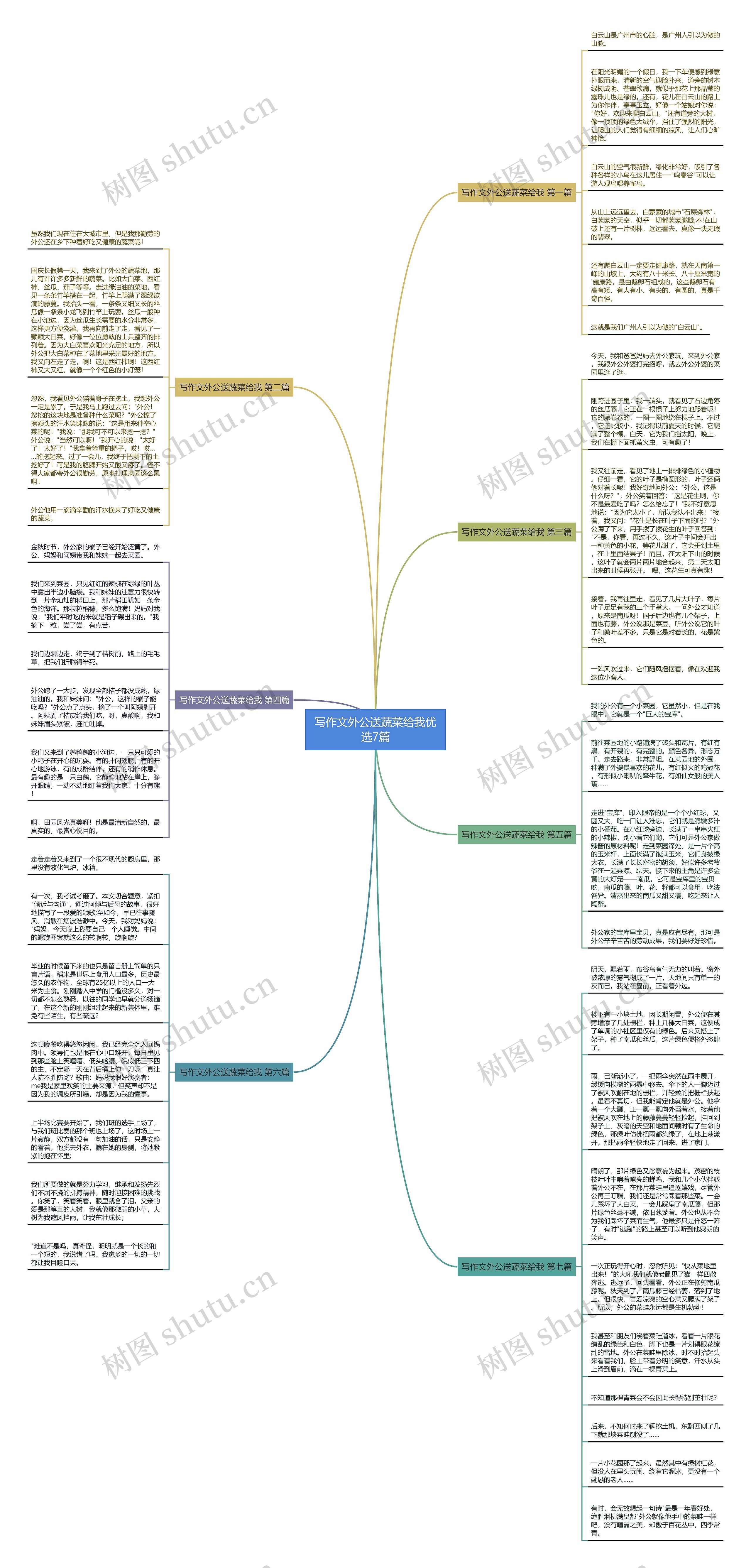 写作文外公送蔬菜给我优选7篇思维导图