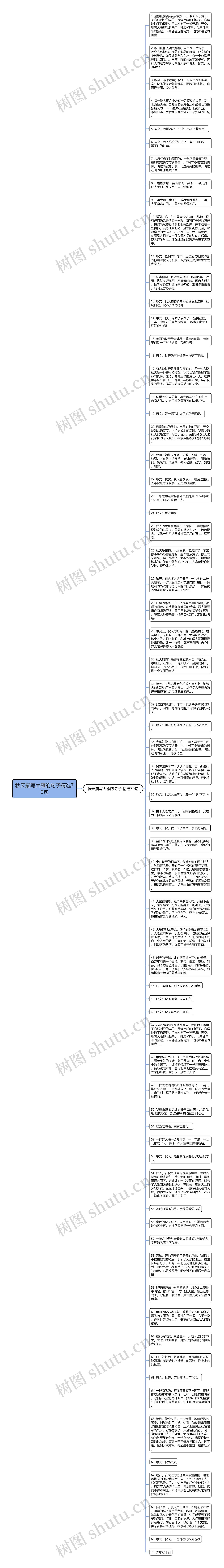 秋天描写大雁的句子精选70句思维导图