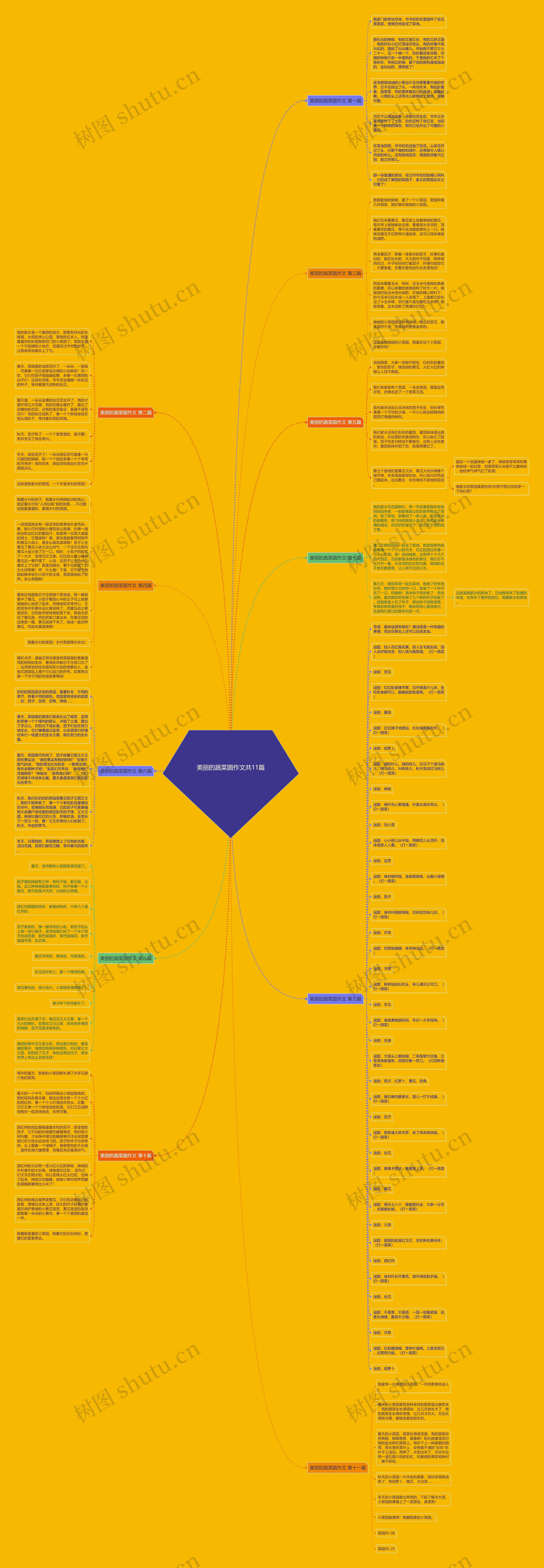 美丽的蔬菜圆作文共11篇思维导图