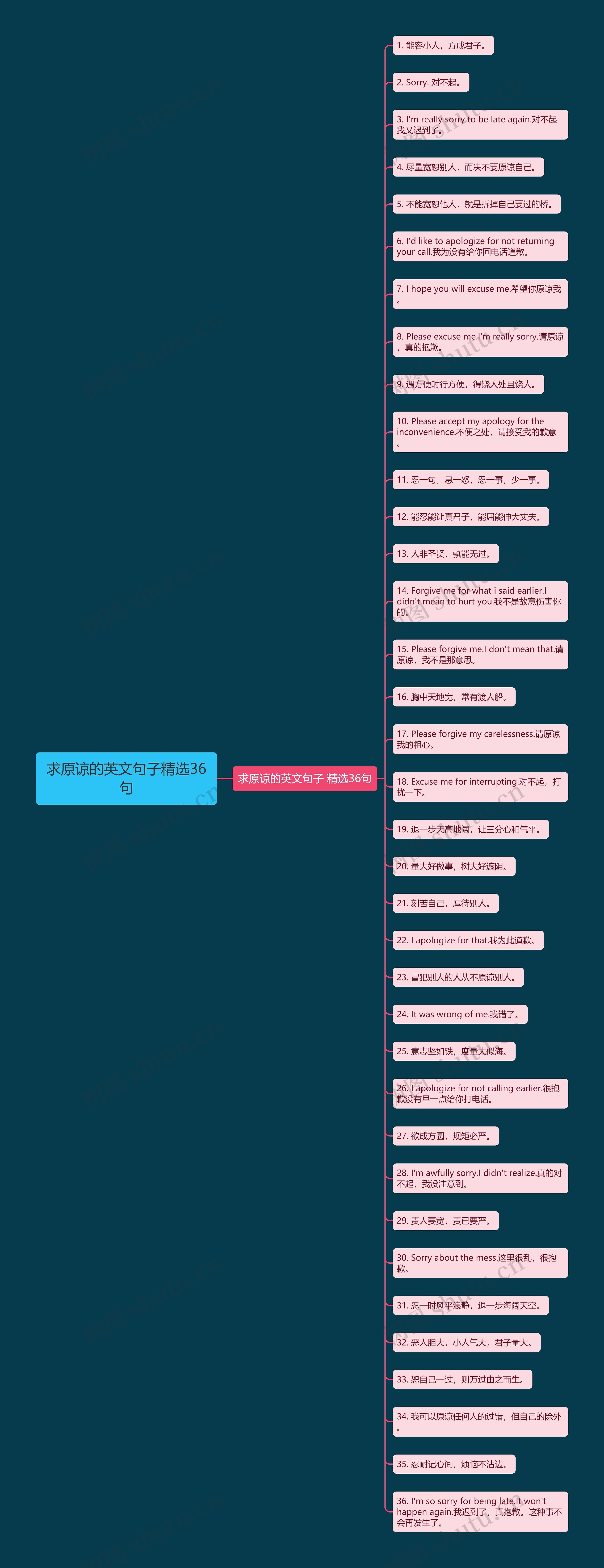 求原谅的英文句子精选36句思维导图