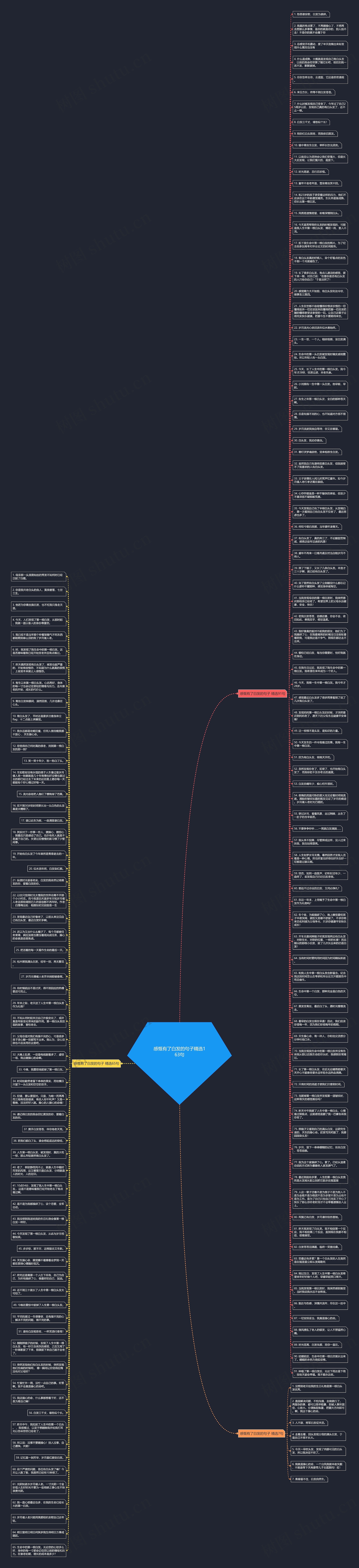 感慨有了白发的句子精选163句思维导图