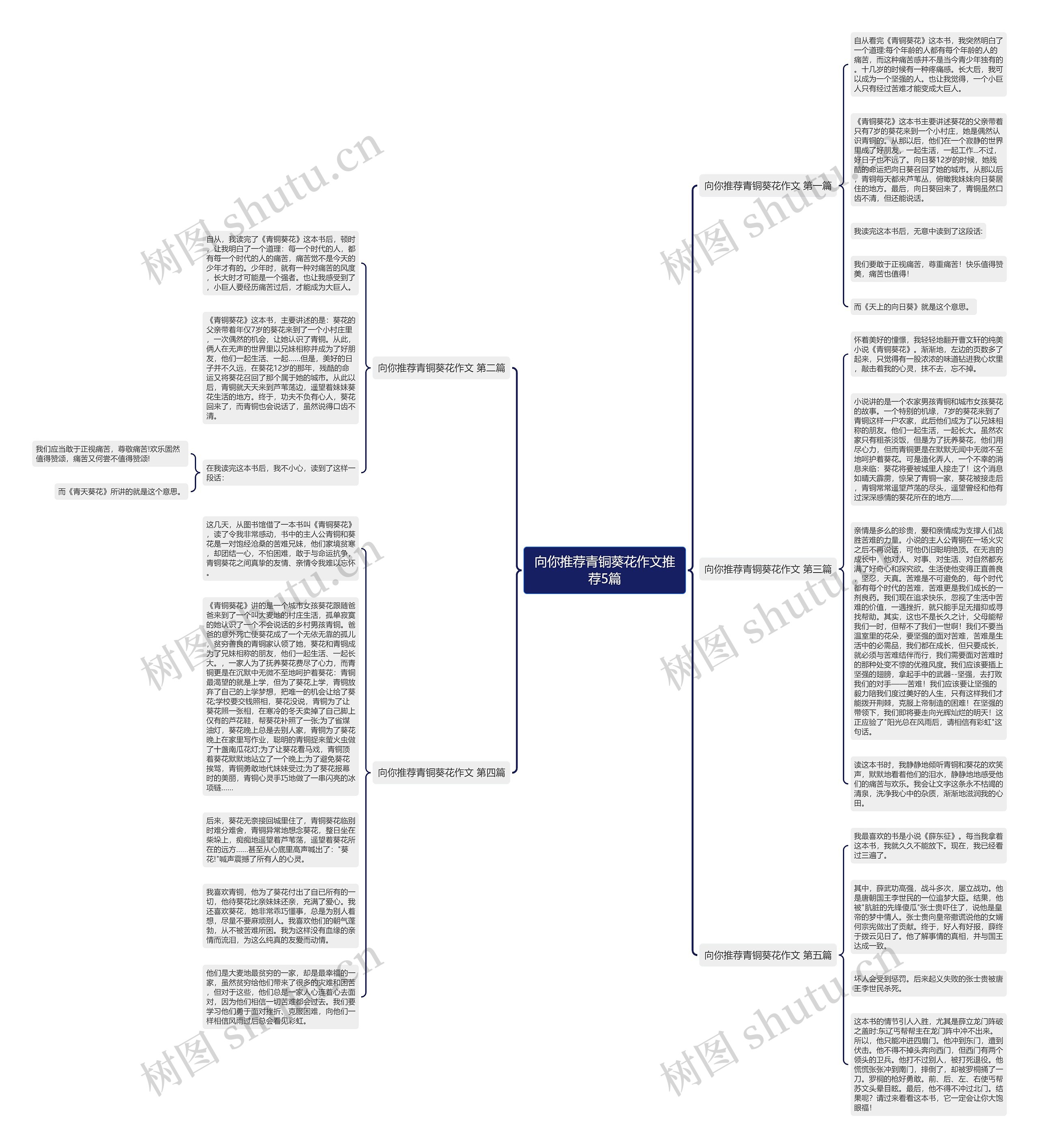 向你推荐青铜葵花作文推荐5篇思维导图