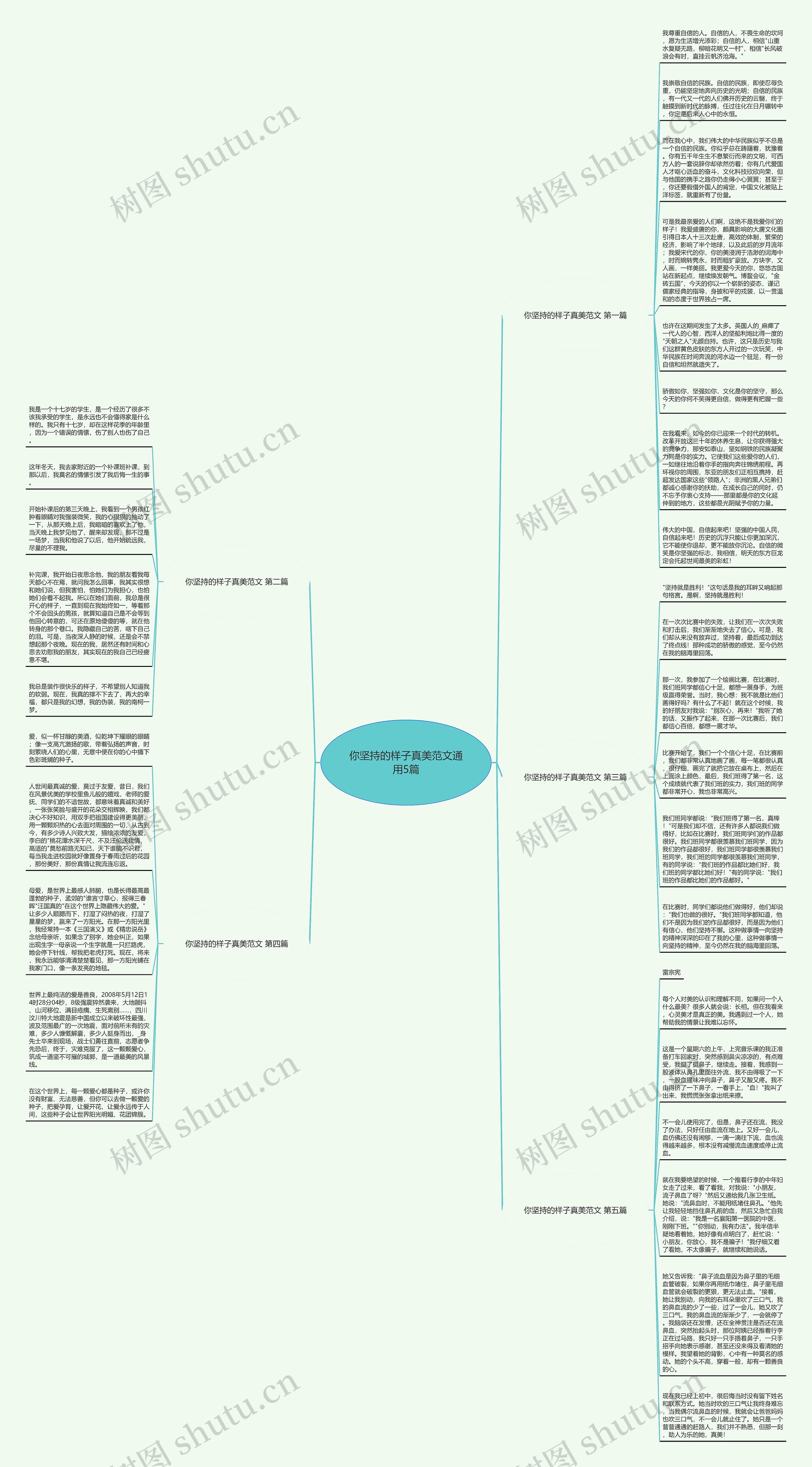 你坚持的样子真美范文通用5篇思维导图